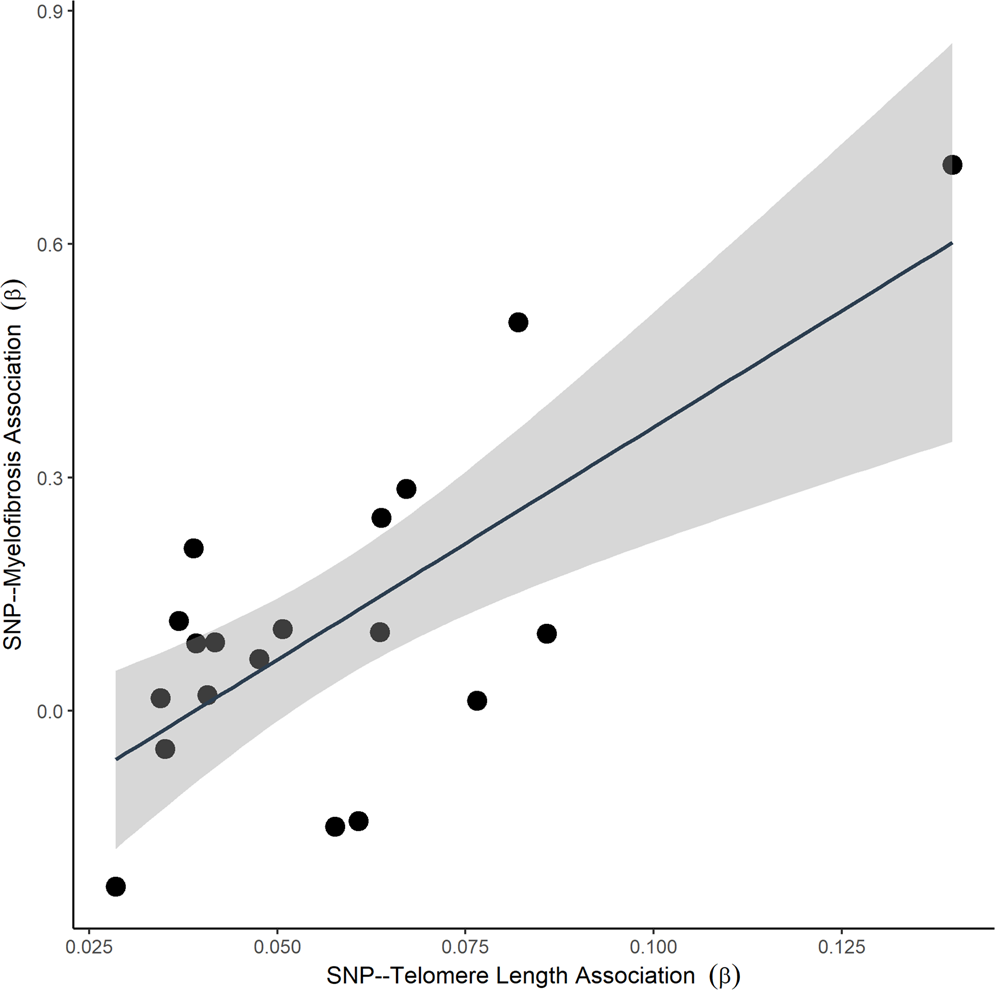Fig. 3: The effect of each variant on genetically-inferred telomere length and myelofibrosis risk.