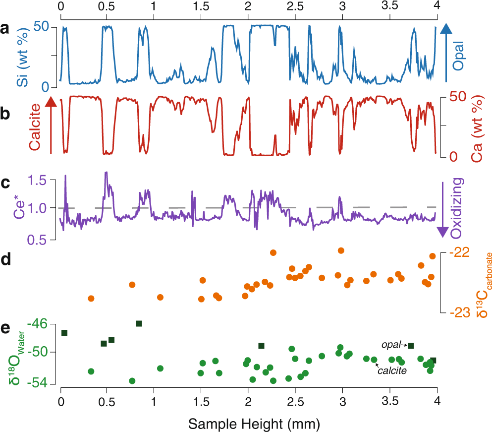 Fig. 5: Geochemical Data from PRR50489.