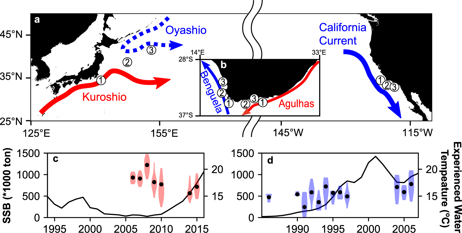Contrasting life-history responses to climate variability in eastern and  western North Pacific sardine populations | Nature Communications