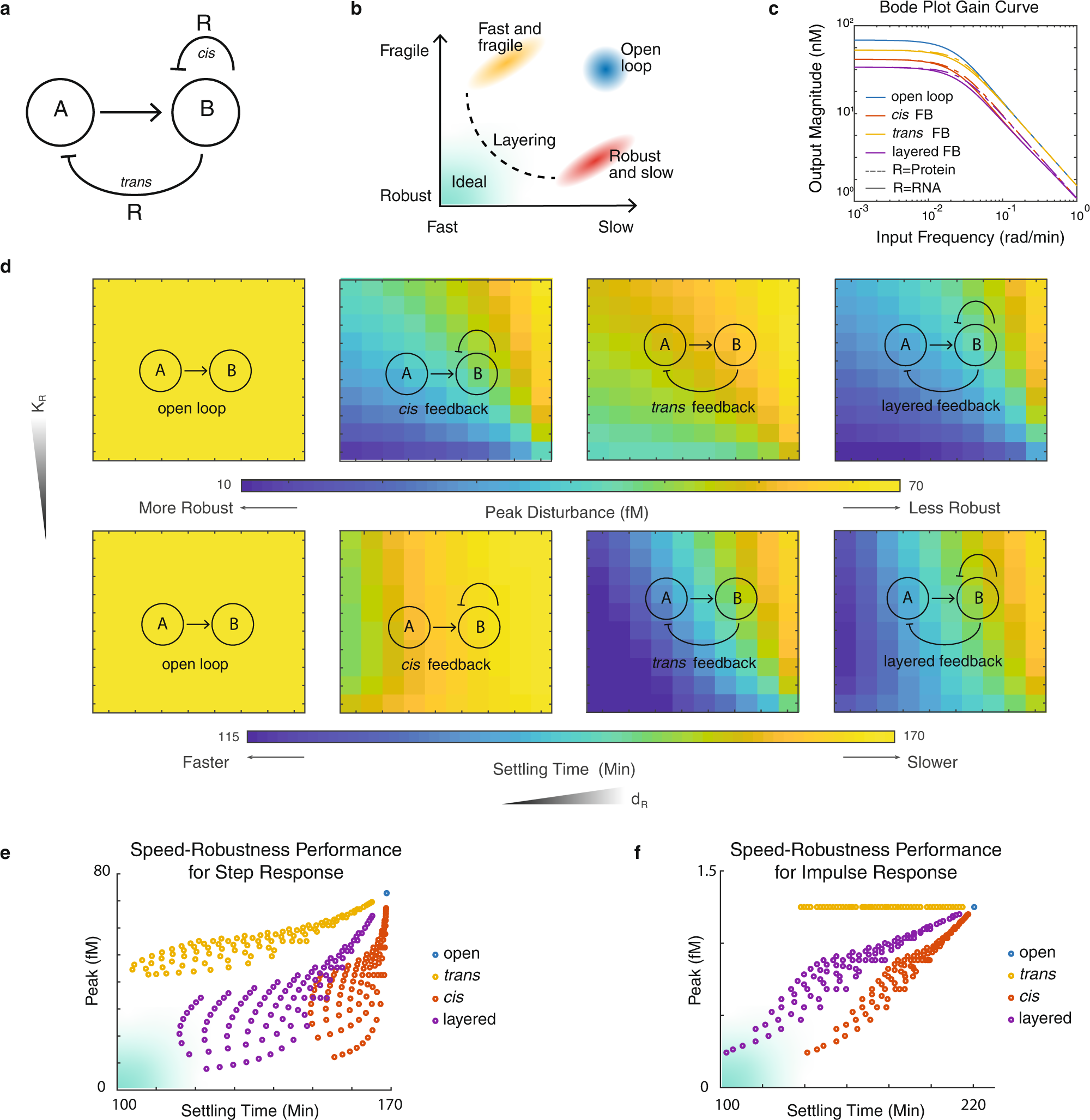 Layered feedback control overcomes performance trade-off in synthetic  biomolecular networks | Nature Communications