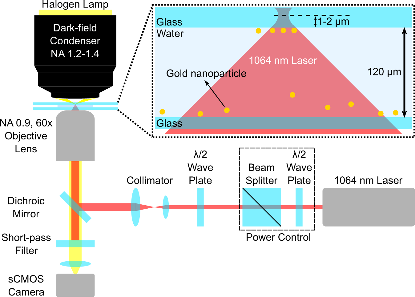 The primeval optical evolving matter by optical binding inside and outside  the photon beam | Nature Communications