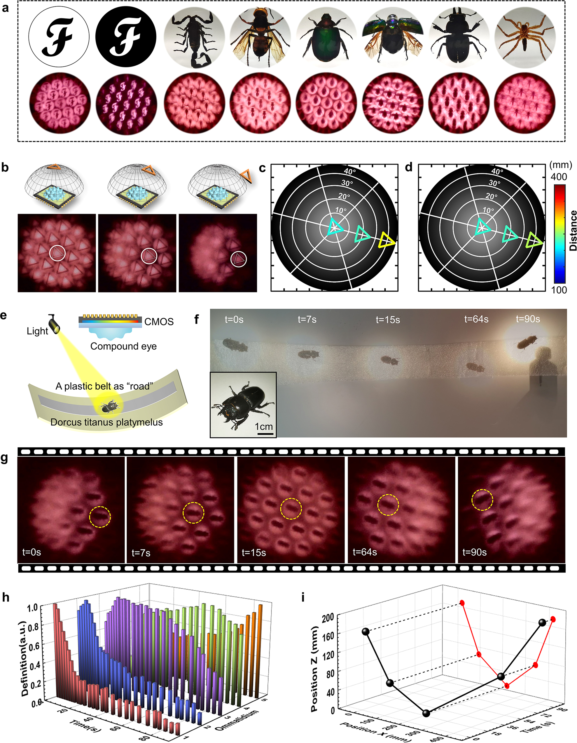 Fig. 4: The imaging capability of the optoelectronic μ-CE camera.