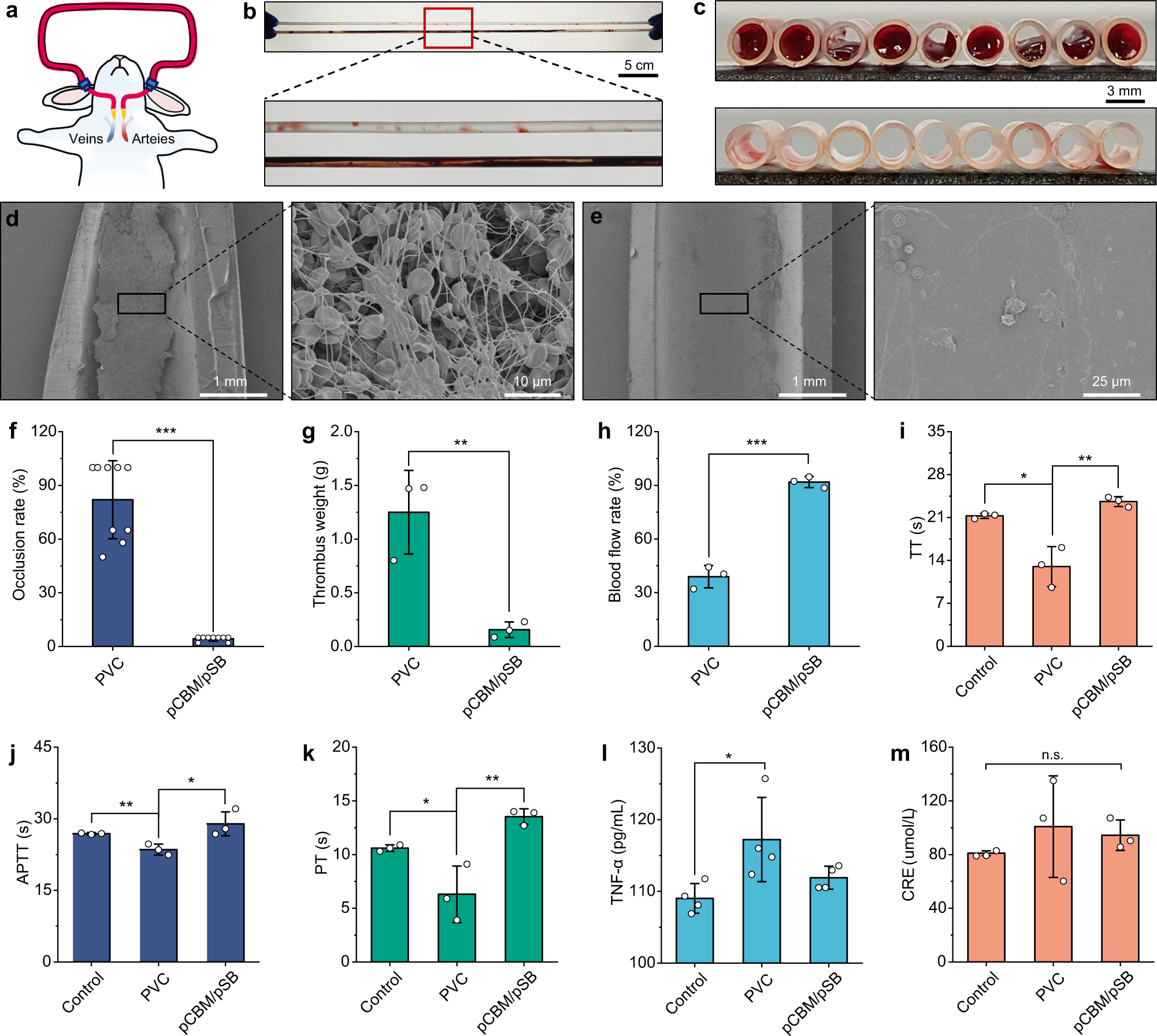 Fig. 7: Antithrombogenicity and biochemical analysis of the pCBM/pSB hydrogel coatings in the rabbit model.