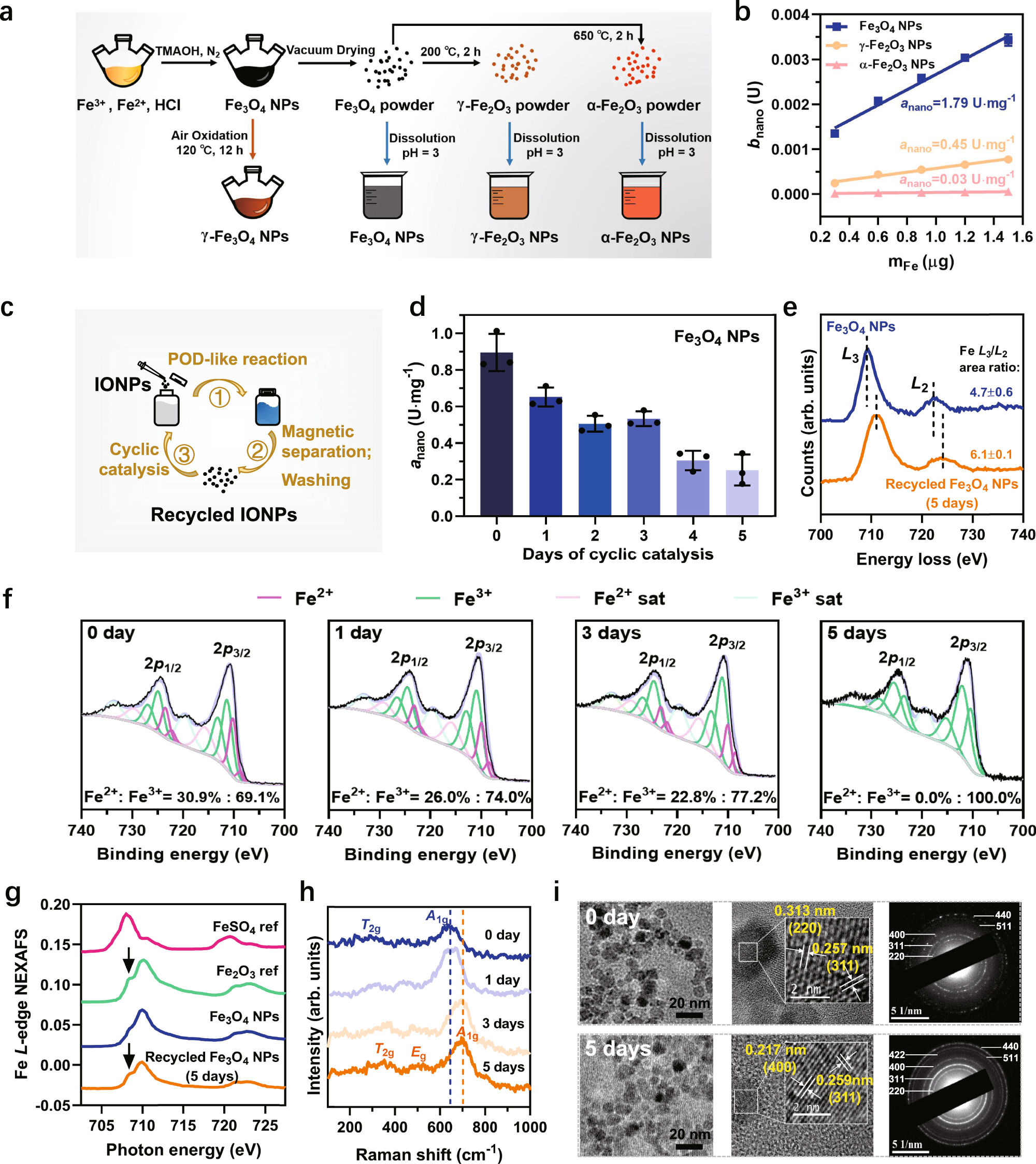 A multifunctional Fe2O3@MoS2@SDS Z-scheme nanocomposite: NIR enhanced  bacterial inactivation, degradation antibiotics and inhibiting ARGs  dissemination - ScienceDirect