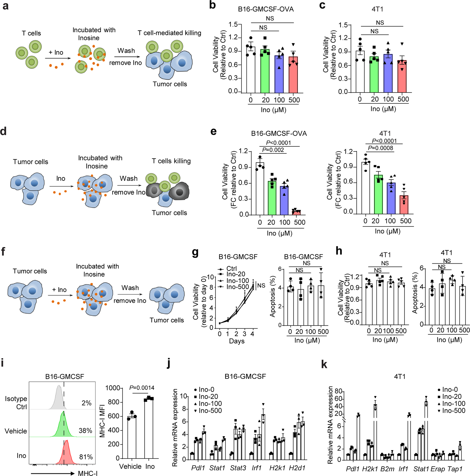 Fig. 2: Inosine sensitises tumour cells to T-cell-mediated killing by modulating tumour immunogenicity.