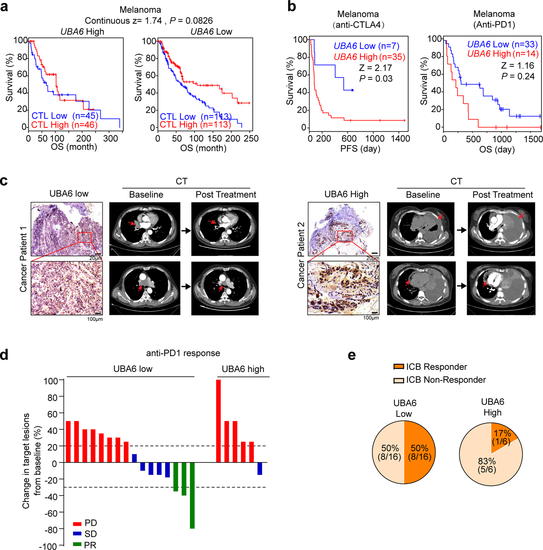 Fig. 6: UBA6 in tumour cells predicts patient outcomes to immunotherapy.