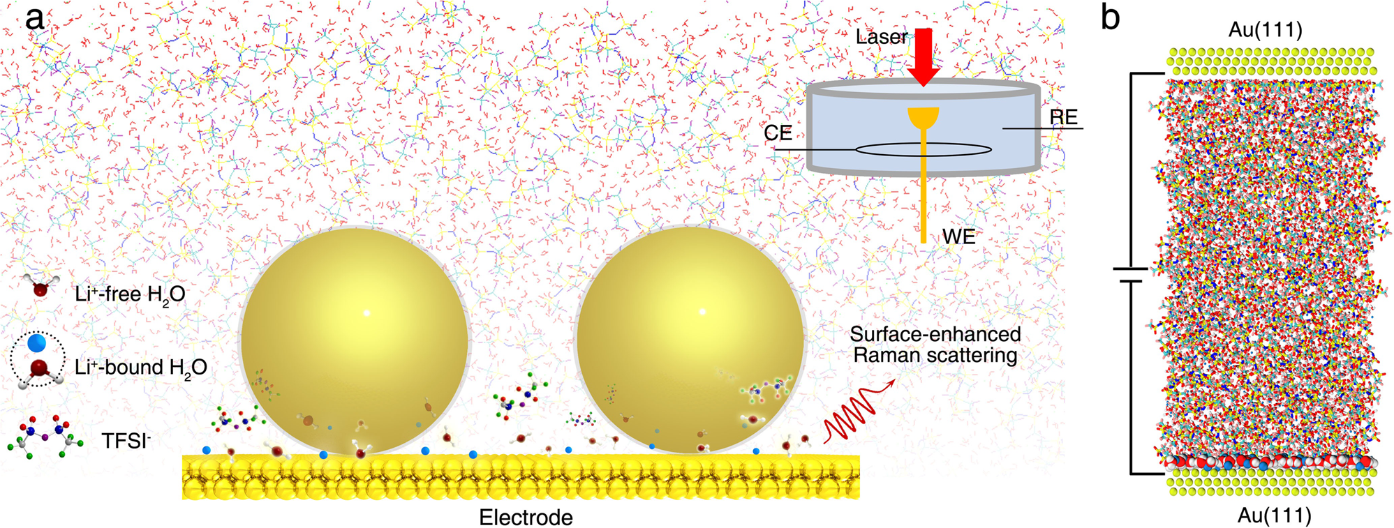 Electrochemically Generated Interfacial pH Change: Application to