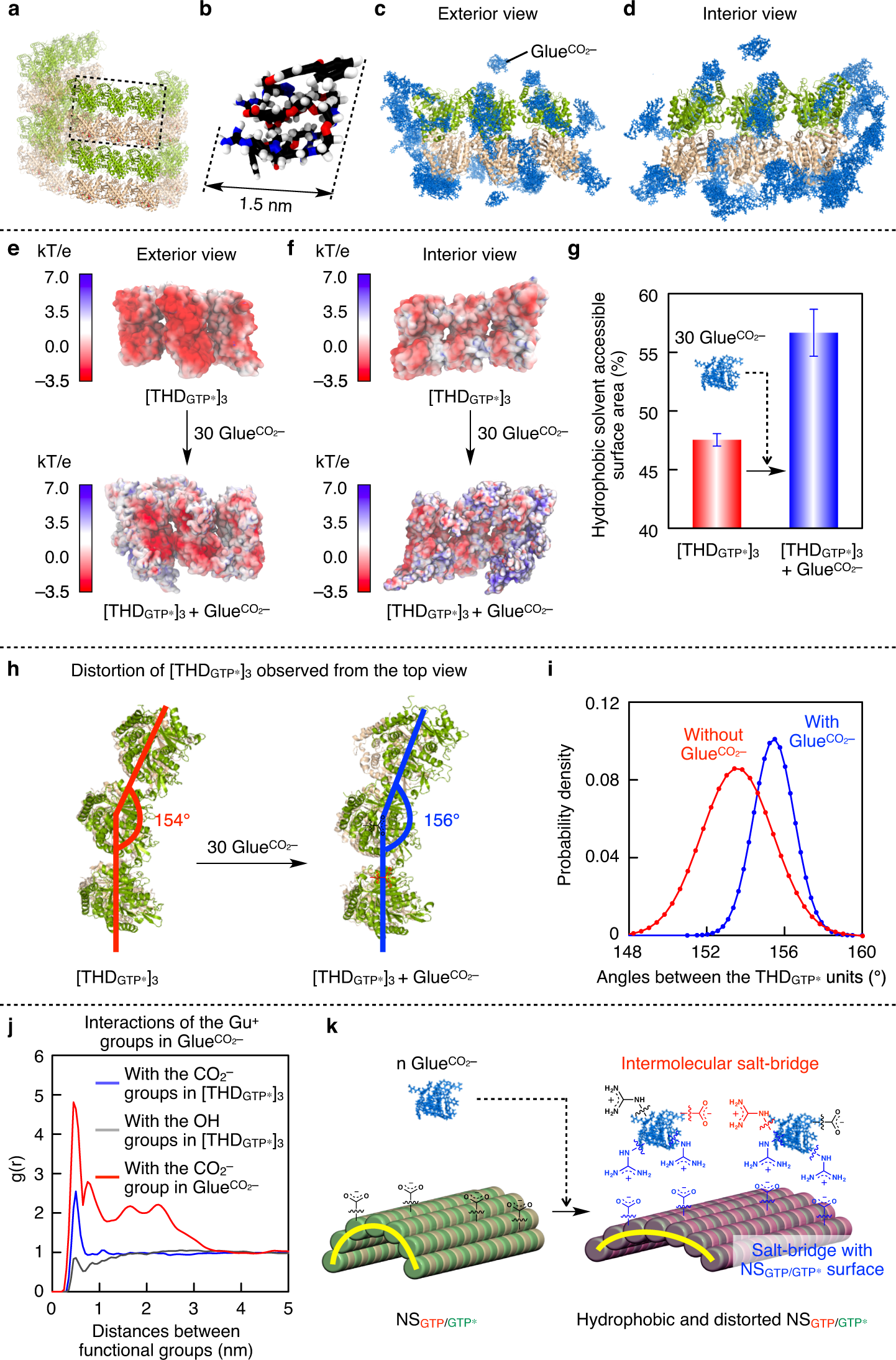Fig. 3: MD simulation of the adhesion events of GlueCO2– onto the surface of THDGTP*.