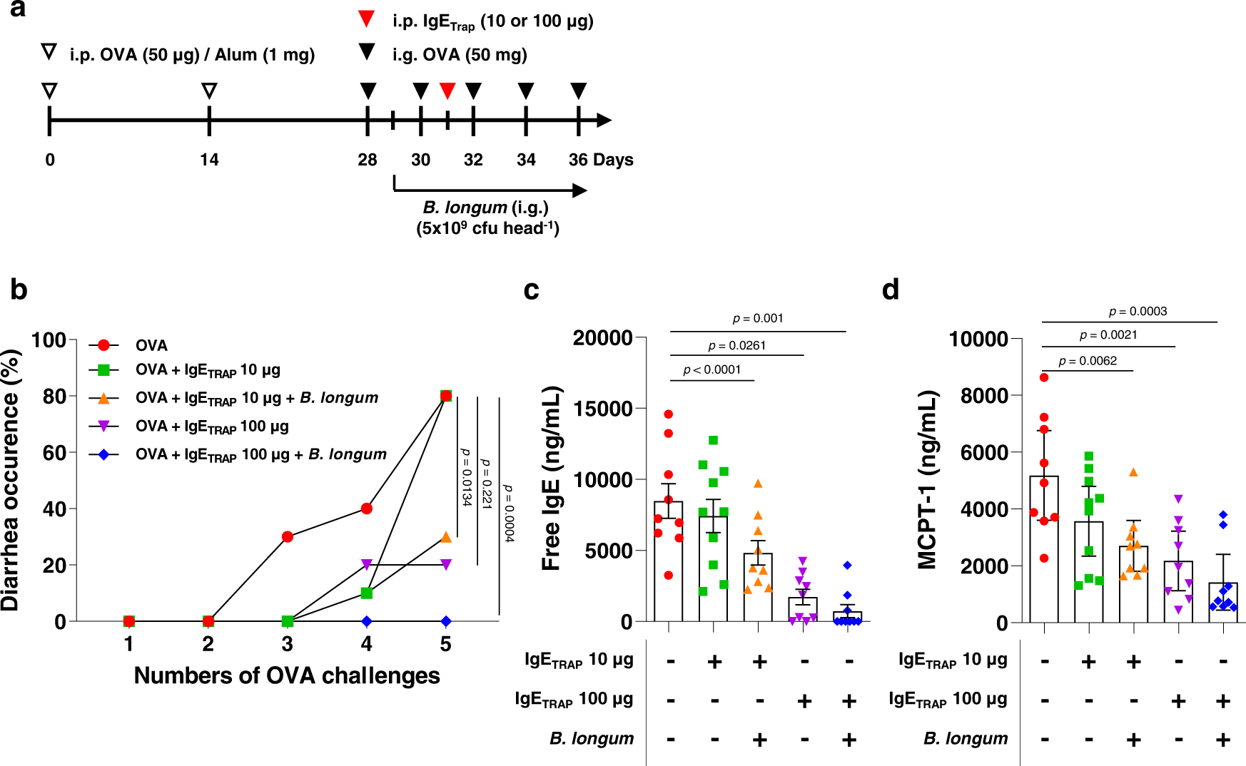 Fig. 4: Dose-dependent therapeutic effect of IgETRAP in combination with B. longum in a food allergy model causing acute diarrhea.