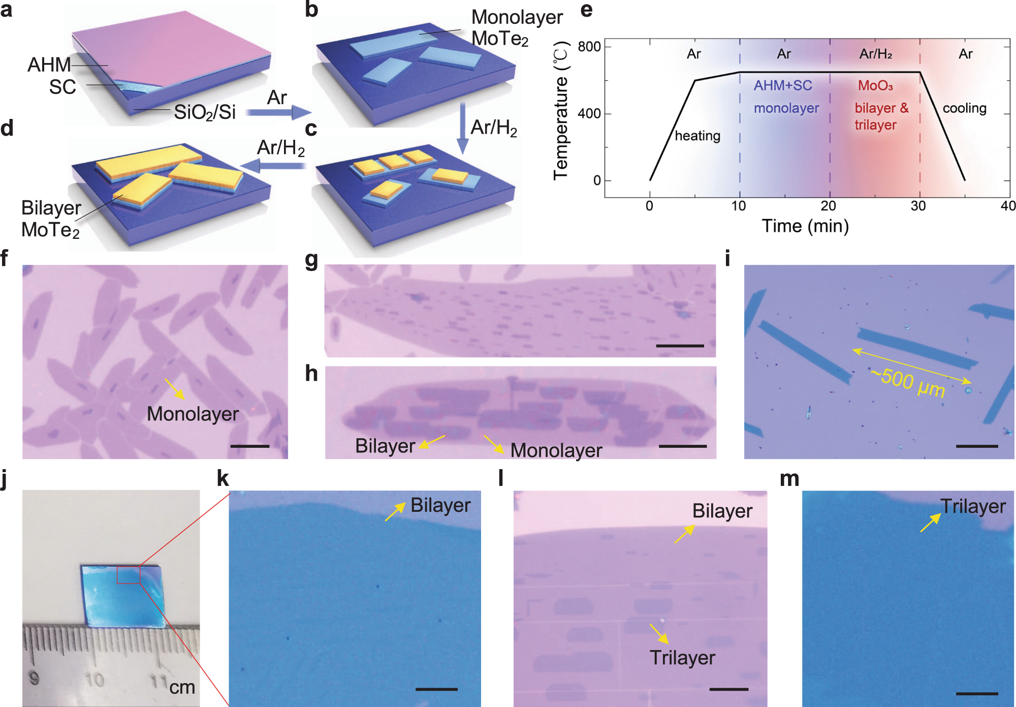 Growth of bilayer MoTe2 single crystals with strong non-linear Hall effect  | Nature Communications
