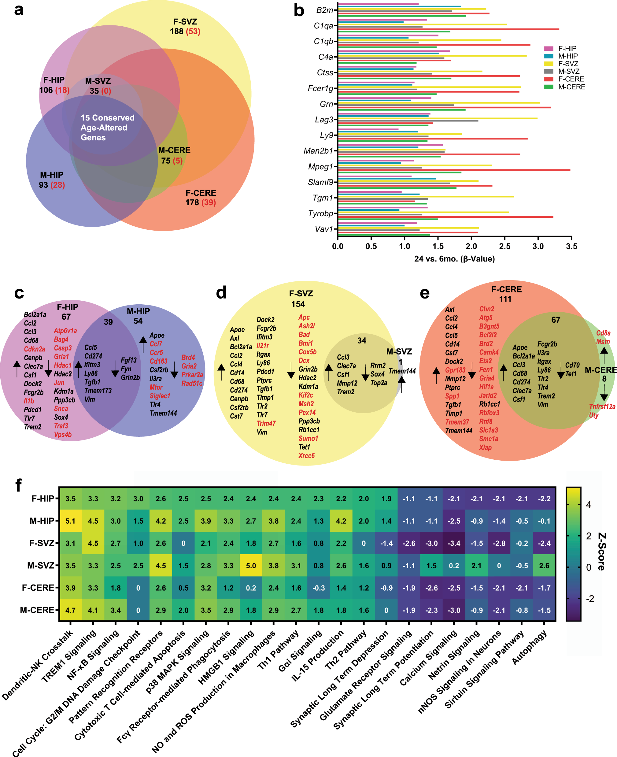 Fig. 1: Gene expression signatures of senescence and inflammation are differentially regulated in the aged mouse brain across sexes and brain regions.