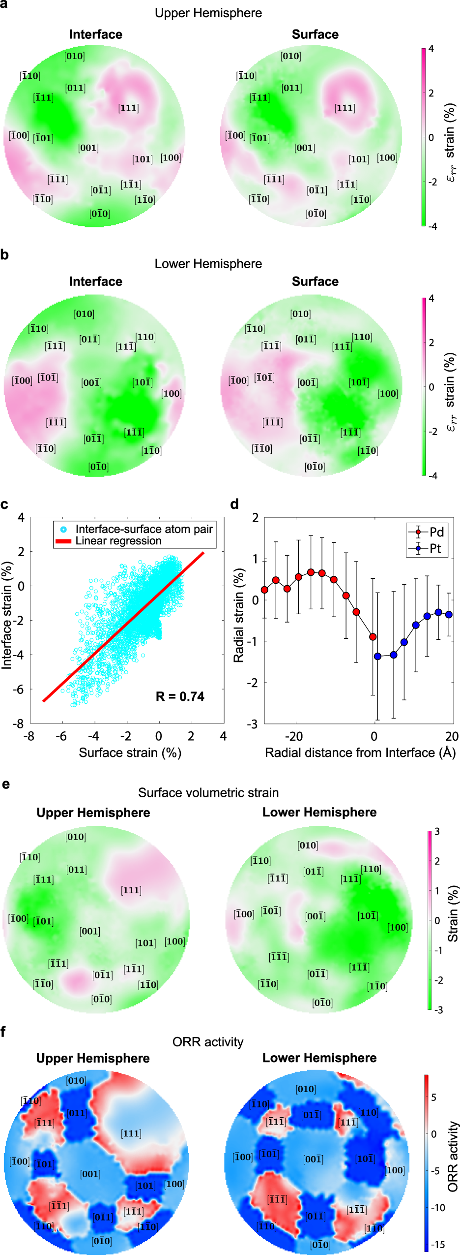 Fig. 3: Surface and interface strain behavior, radial strain profile, and surface ORR activity.