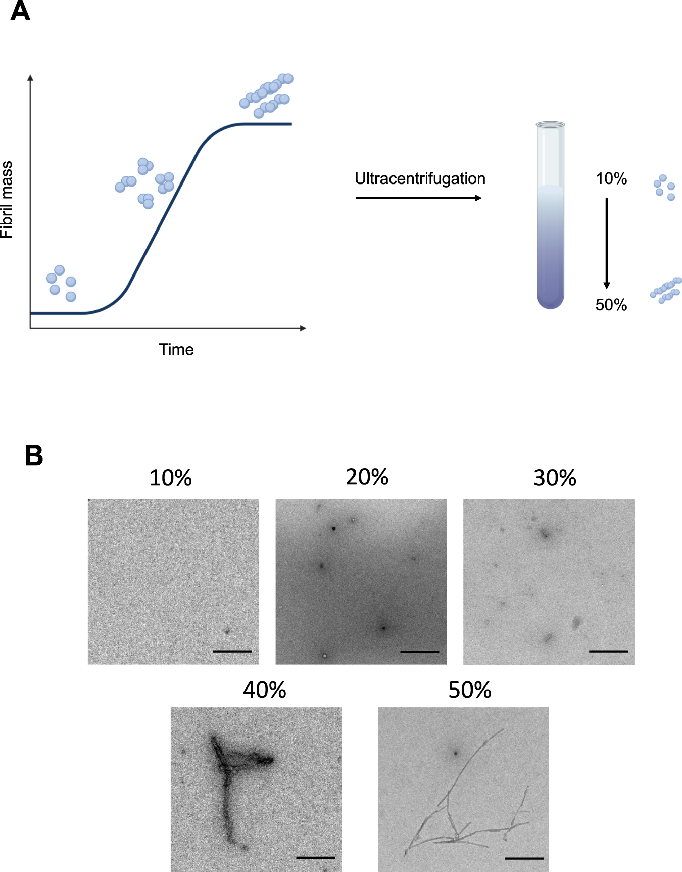 α-Synuclein Aggregation in Treatment of Parkinson's Disease