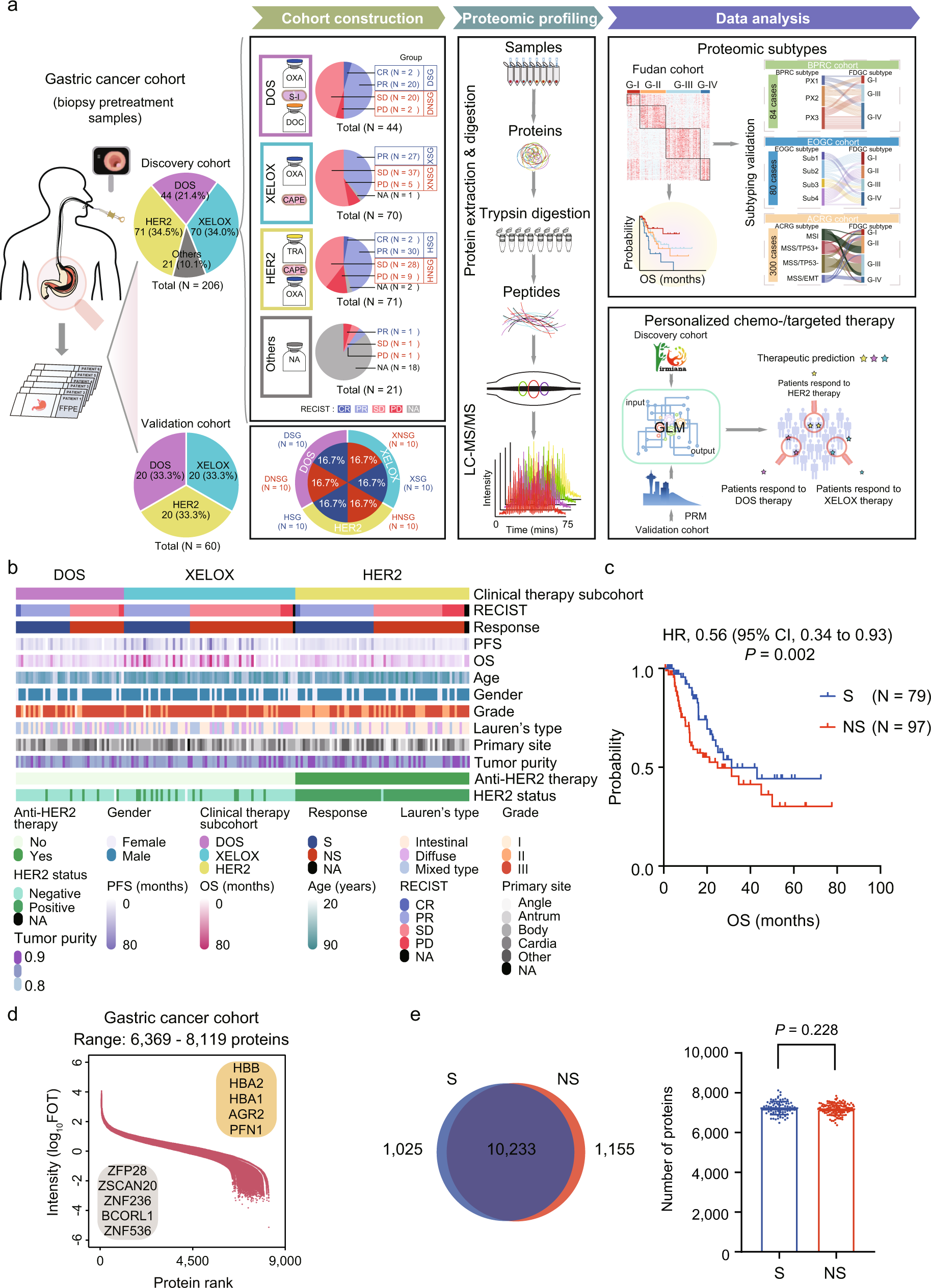 Proteomic characterization of gastric cancer response to chemotherapy and  targeted therapy reveals potential therapeutic strategies | Nature  Communications