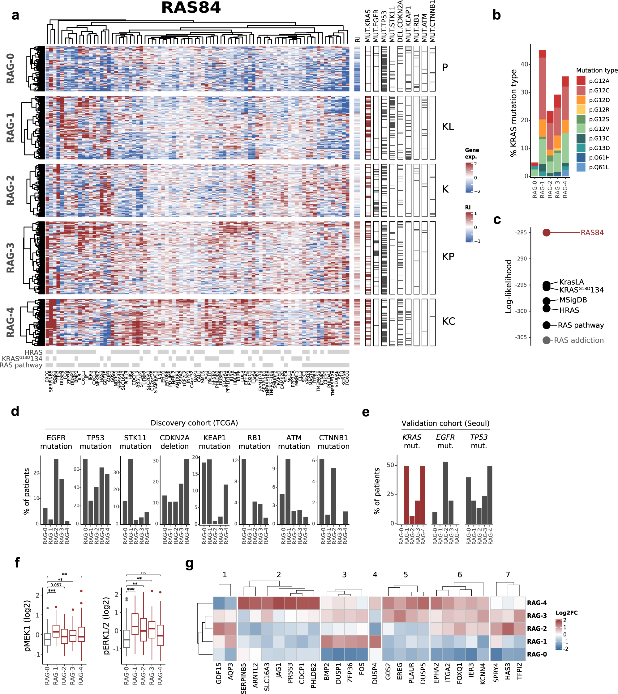 Fig. 3: LUAD classification by RAS84.