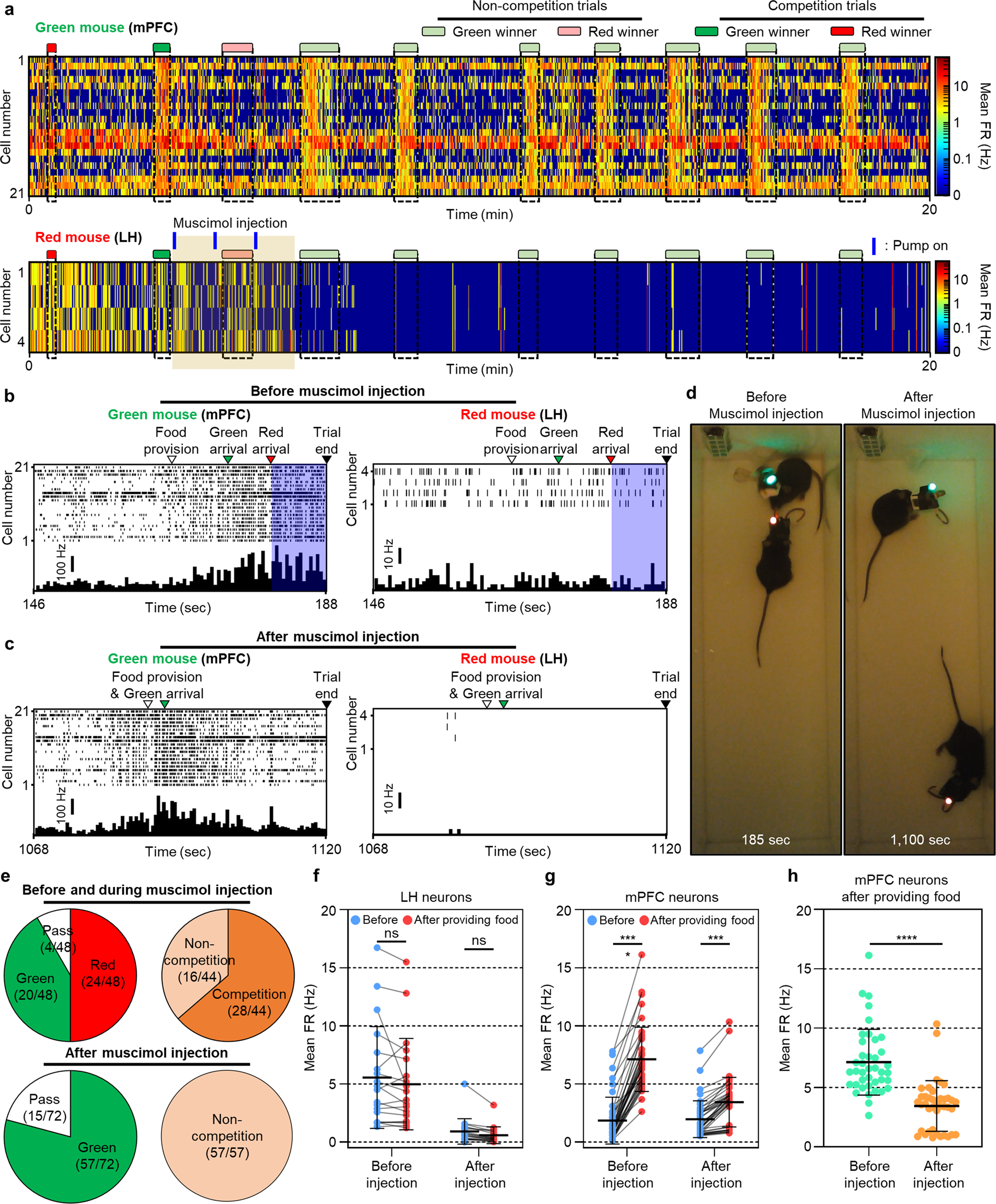 Fig. 7: Drug-induced modulation of the food competition and simultaneous monitoring of the neural and social interaction changes.