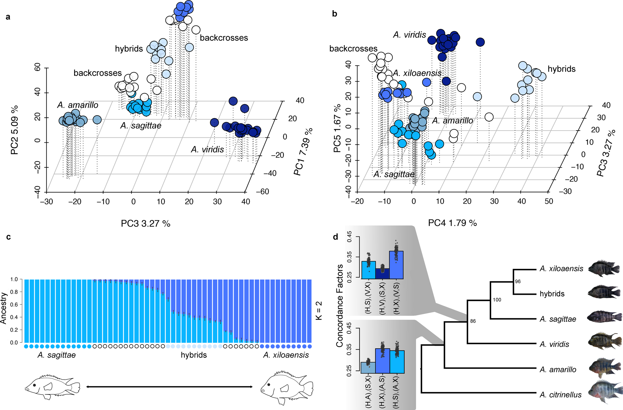 Fig. 1: Genomic evidence of hybridization.
