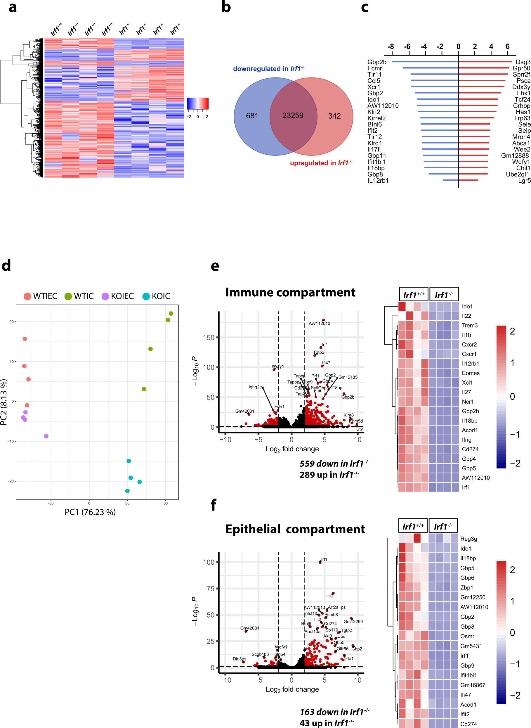 Fig. 2: Analysis of Irf1-dependent transcriptional changes during C. rodentium infection.