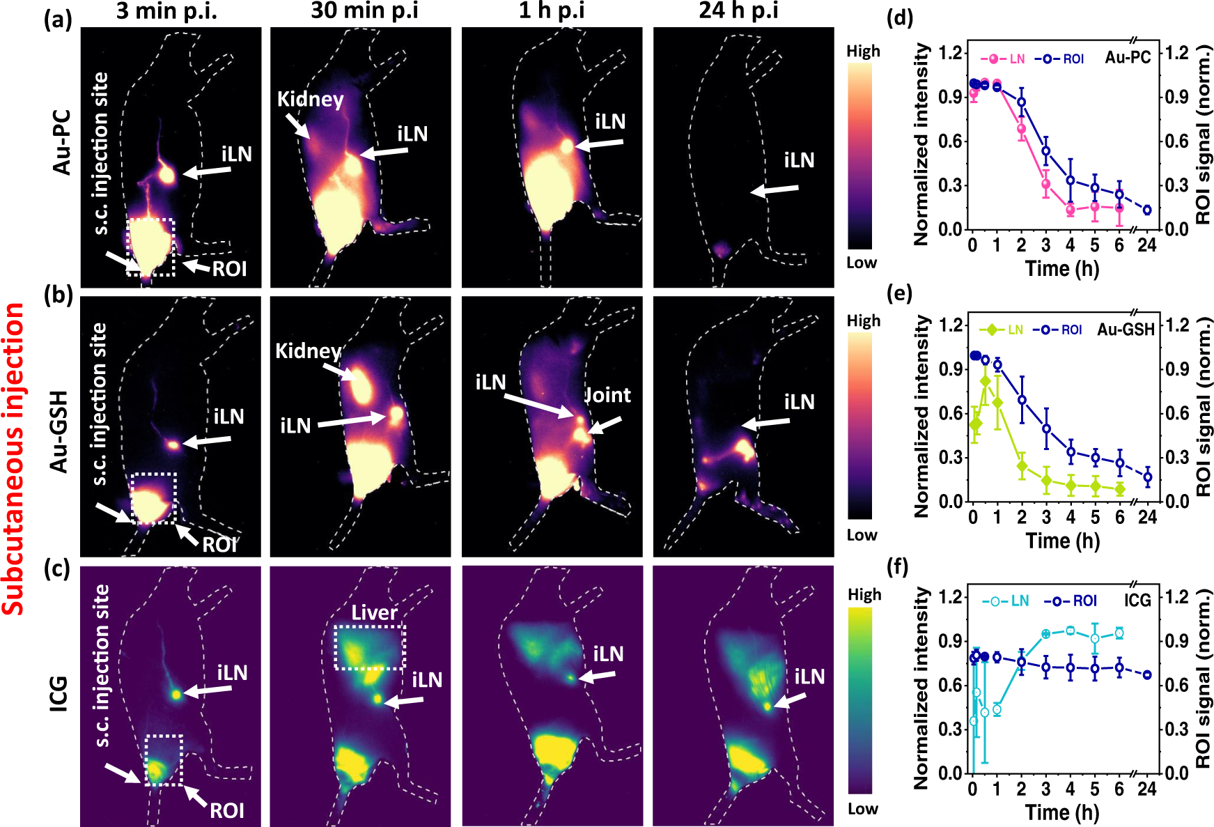 Fig. 5: In vivo fluorescence imaging with subcutaneous injected Au-PC, Au-GSH and ICG.