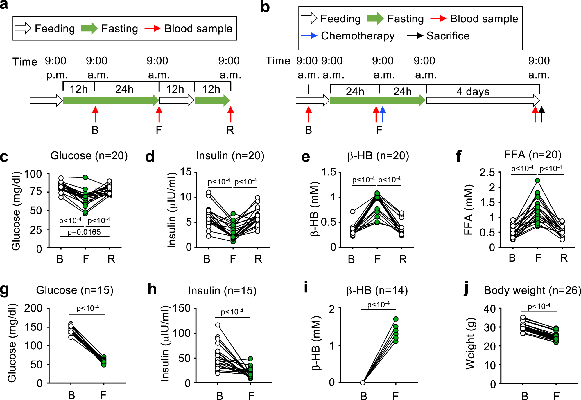Fig. 1: Standard biomarkers of short-term fasting in healthy humans and mice.