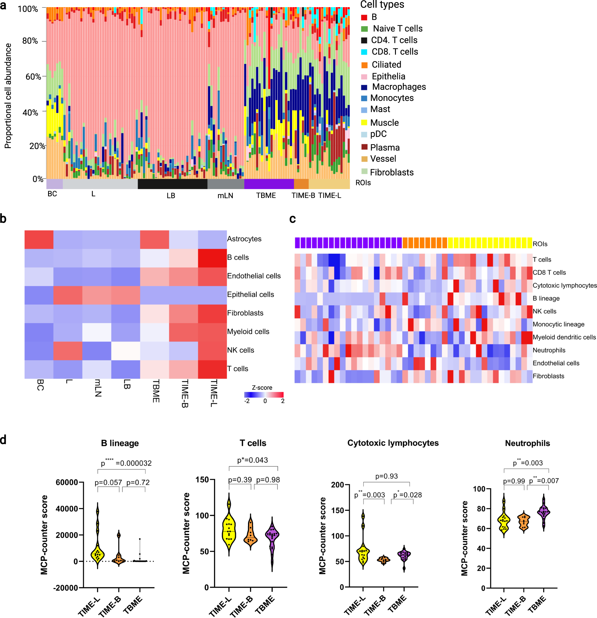 Fig. 2: Spatial specificity of cellular composition and gene expression in the primary tumor and metastases.