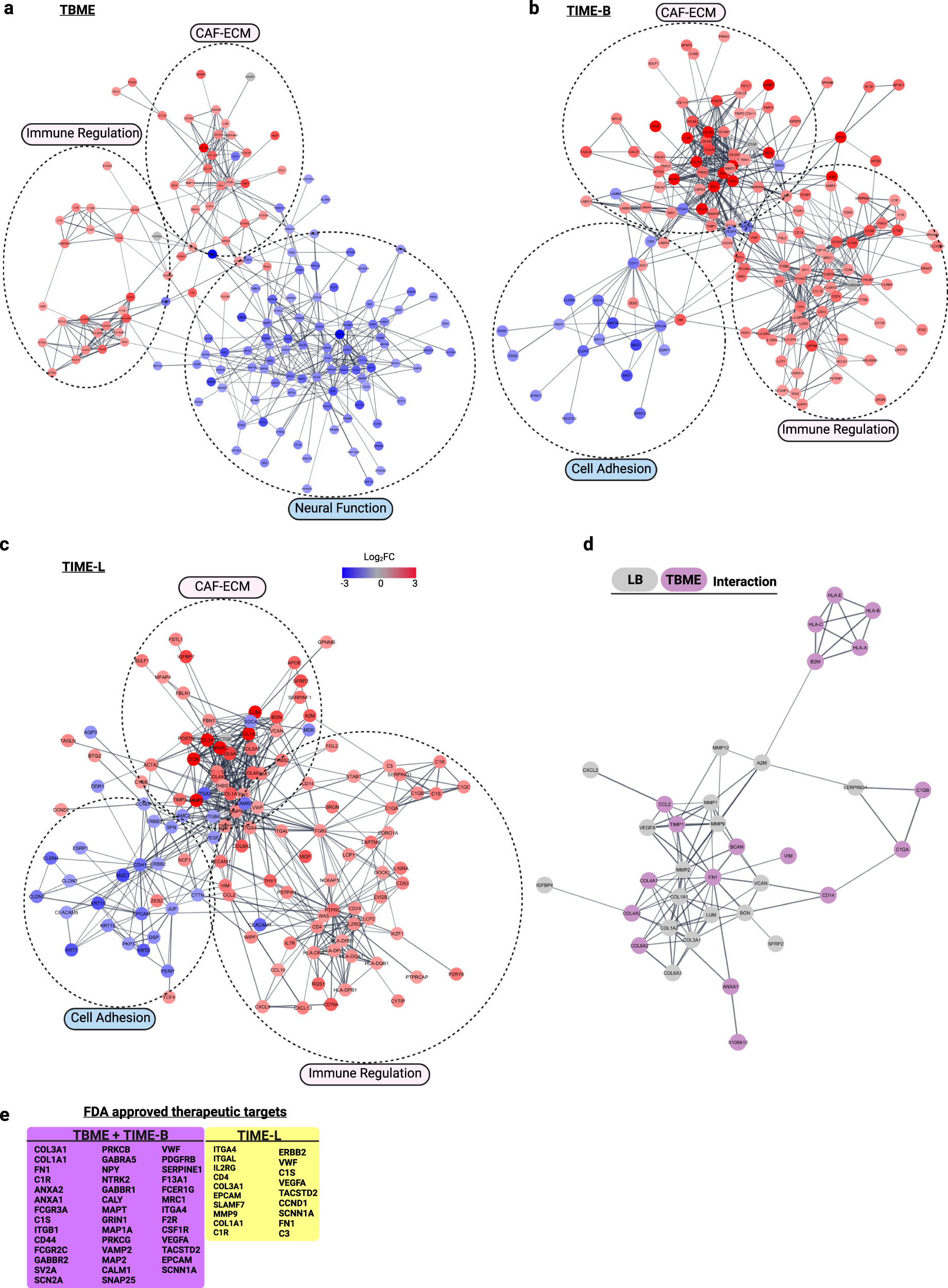Fig. 7: Gene association network analysis reveals TME modules for therapeutic targeting.