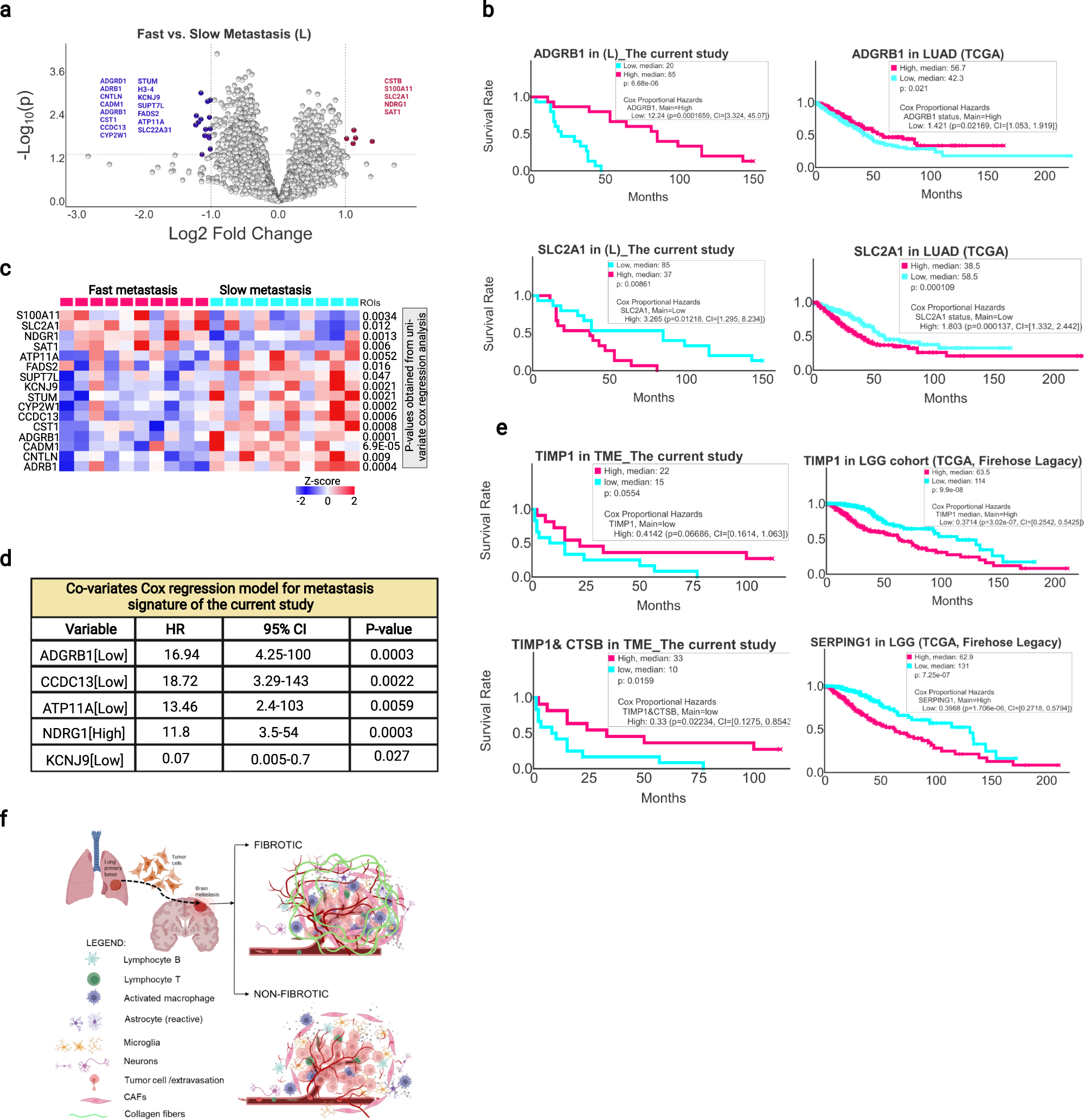 Fig. 8: Signature genes of metastasis predict patient outcomes.