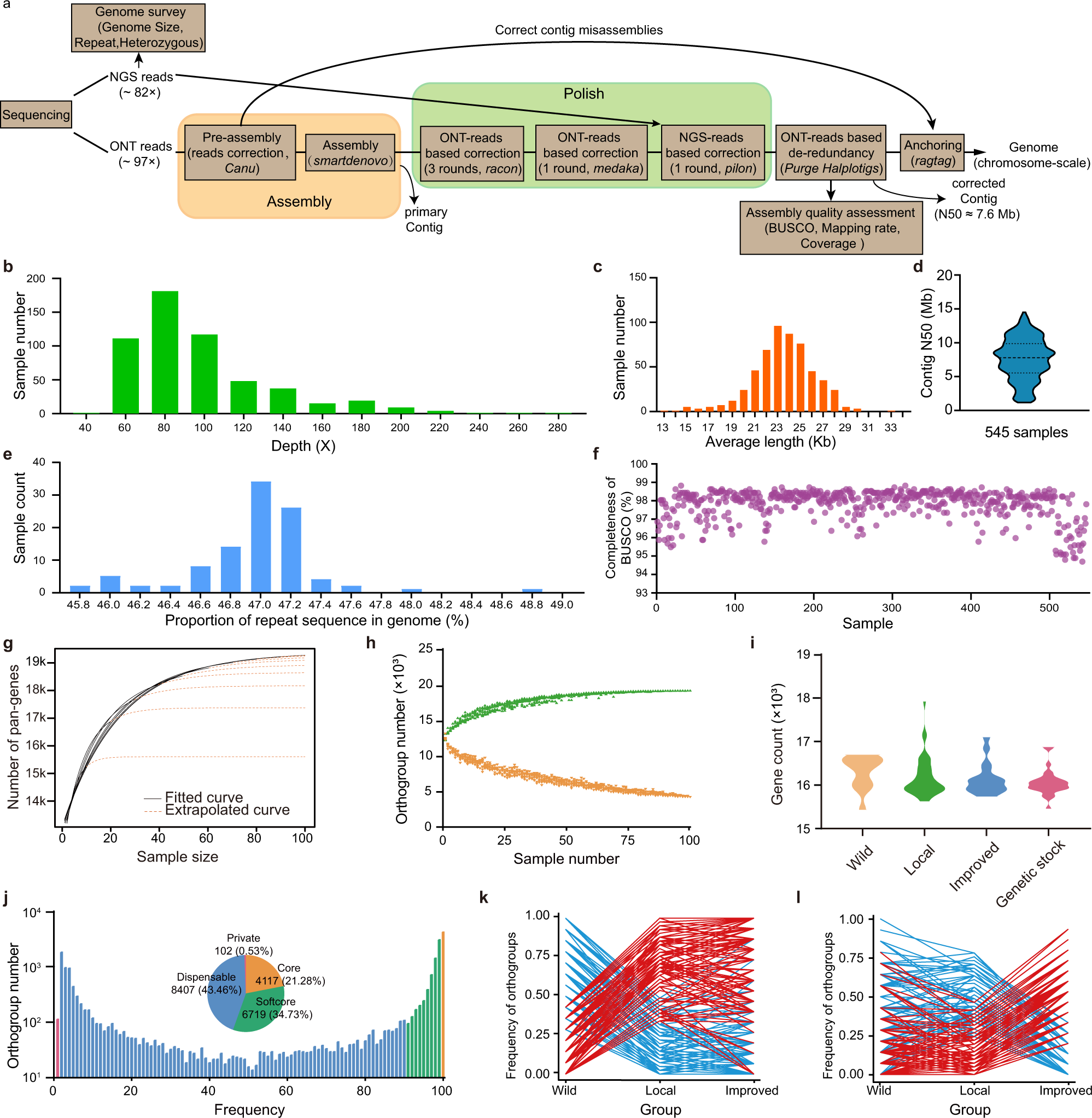 Fig. 3: Sequencing, assembly, and pan-gene analysis of 545 silkworm genomes.