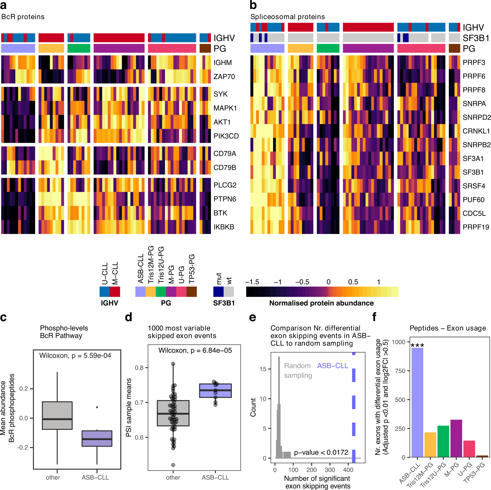 Fig. 5: Characterization of the new proteomics group ASB-CLL.