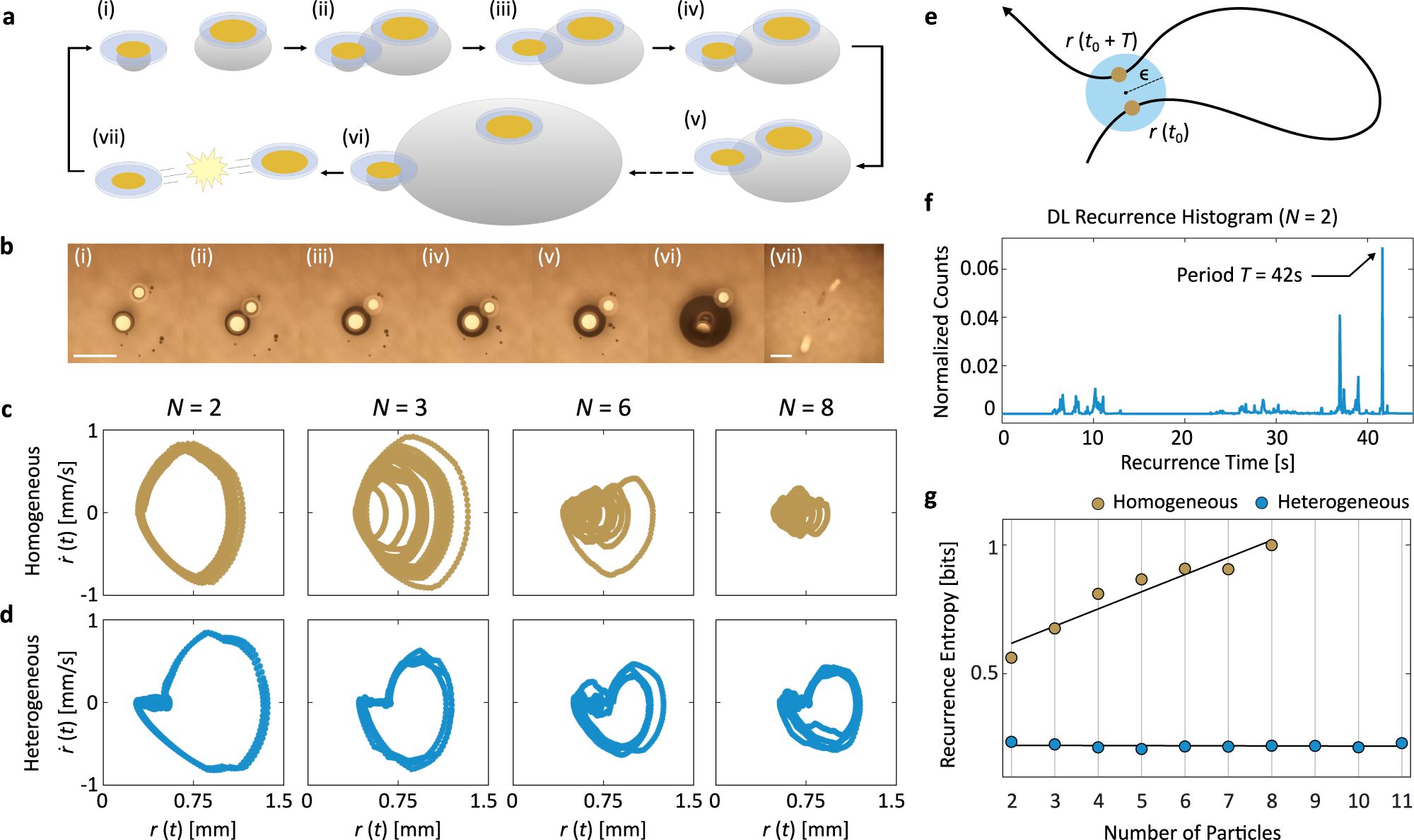 Fig. 3: Designated leaders induce periodic limit cycles.