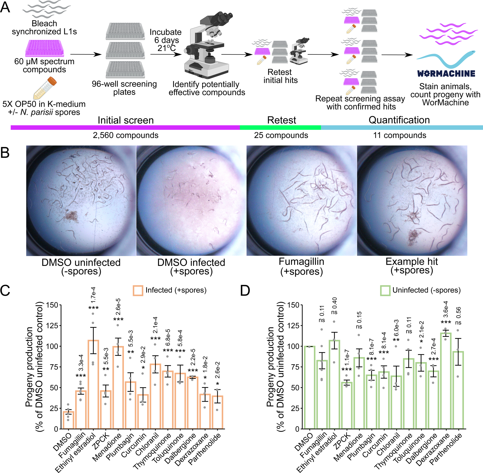 High Throughput Small Molecule Screen Identifies Inhibitors Of Microsporidia Invasion And Proliferation In C Elegans Nature Communications