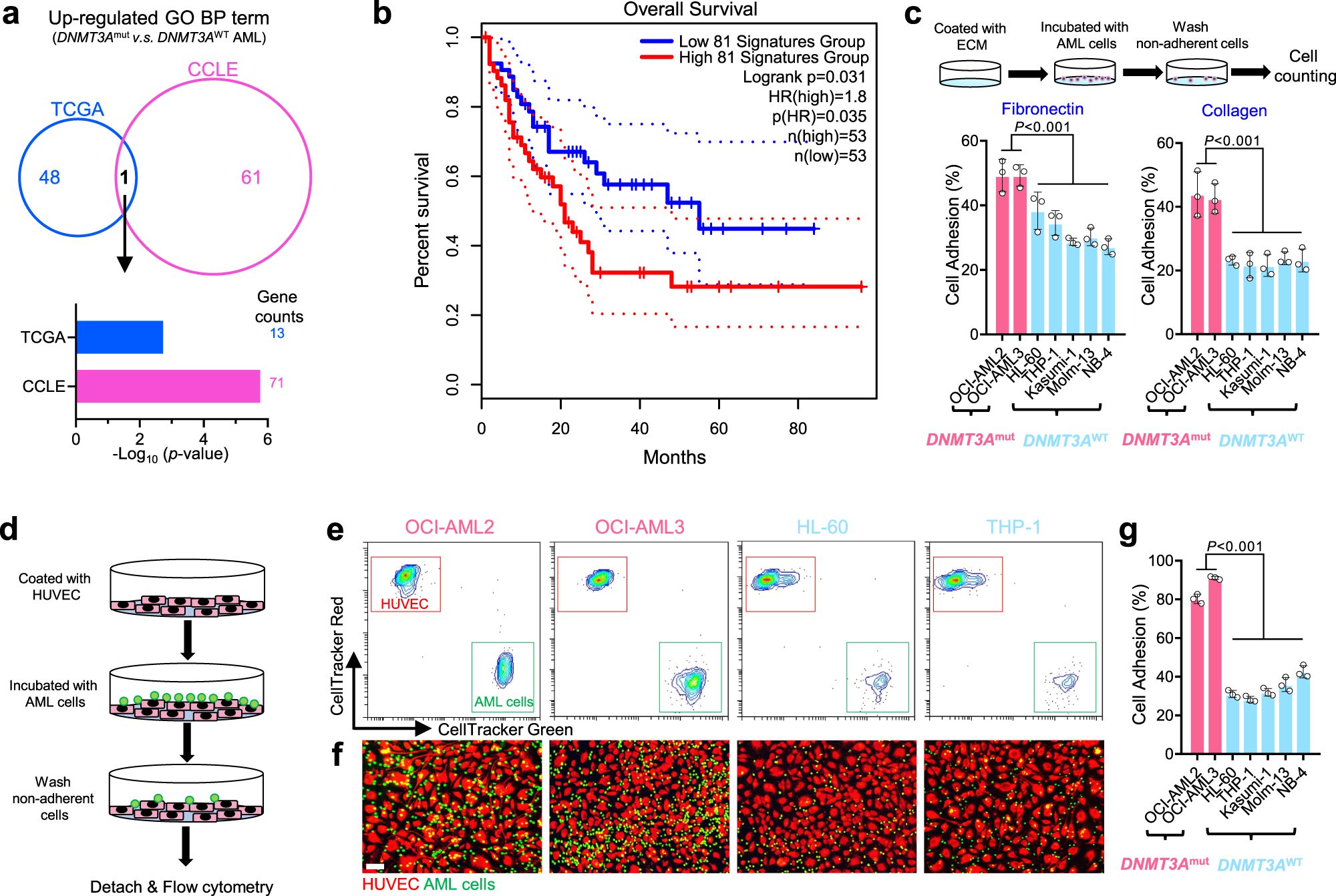 Graphdiyne nanosheets selective anti-leukemia efficacy against DNMT3A-mutant AML cells | Communications