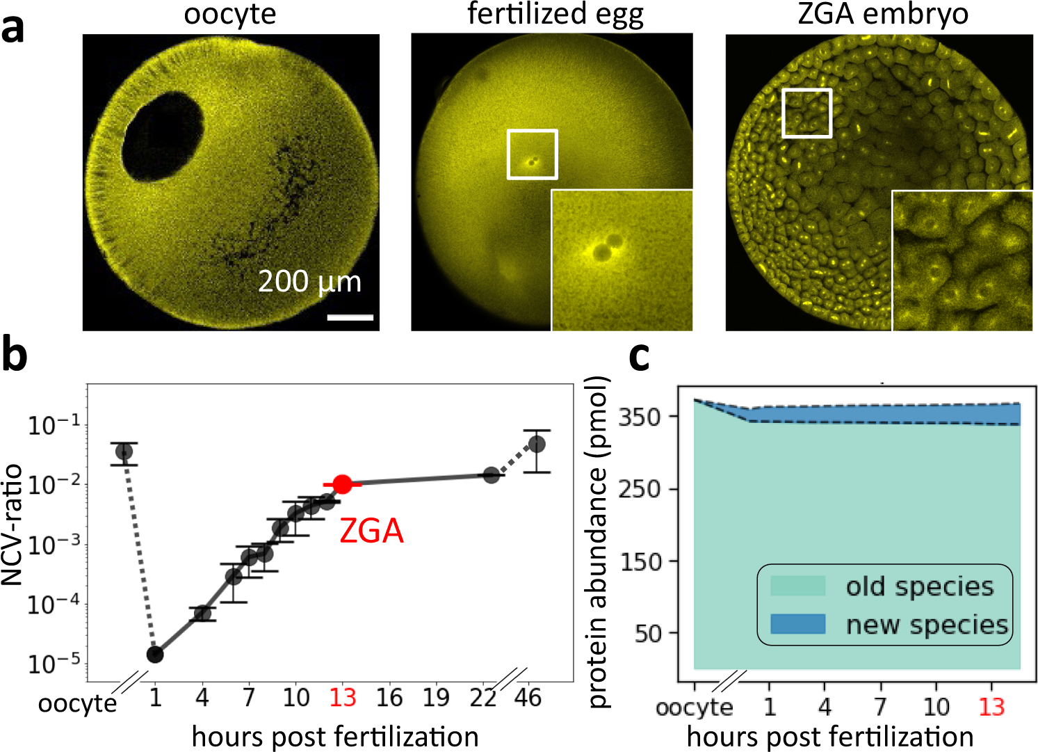 https://media.springernature.com/full/springer-static/image/art%3A10.1038%2Fs41467-022-33429-z/MediaObjects/41467_2022_33429_Fig1_HTML.png