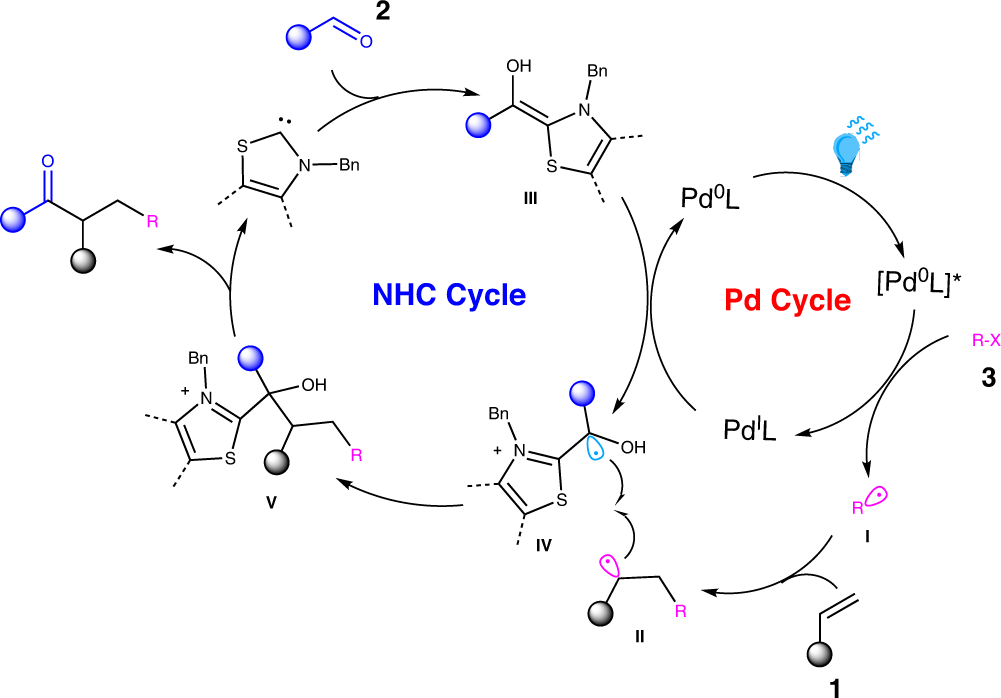 Fig. 9: Proposed catalytic cycle.