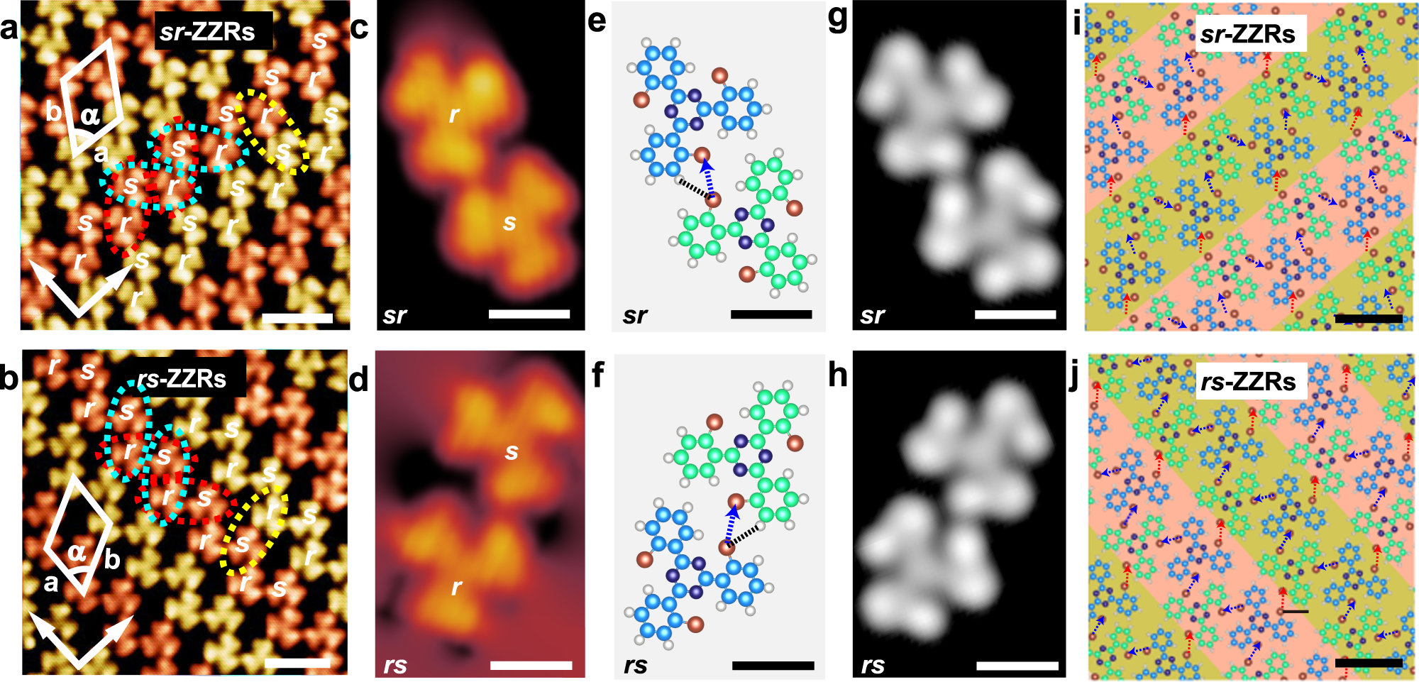 Fig. 5: STM images and molecular models of the 2D racemic ZZRs.