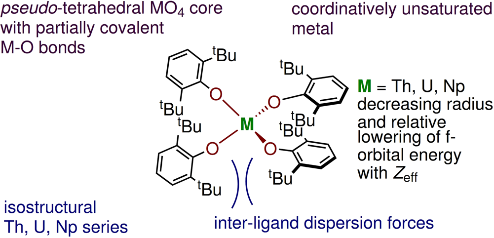 Fig. 1: Pseudo tetrahedral actinide molecules investigated in this study.
