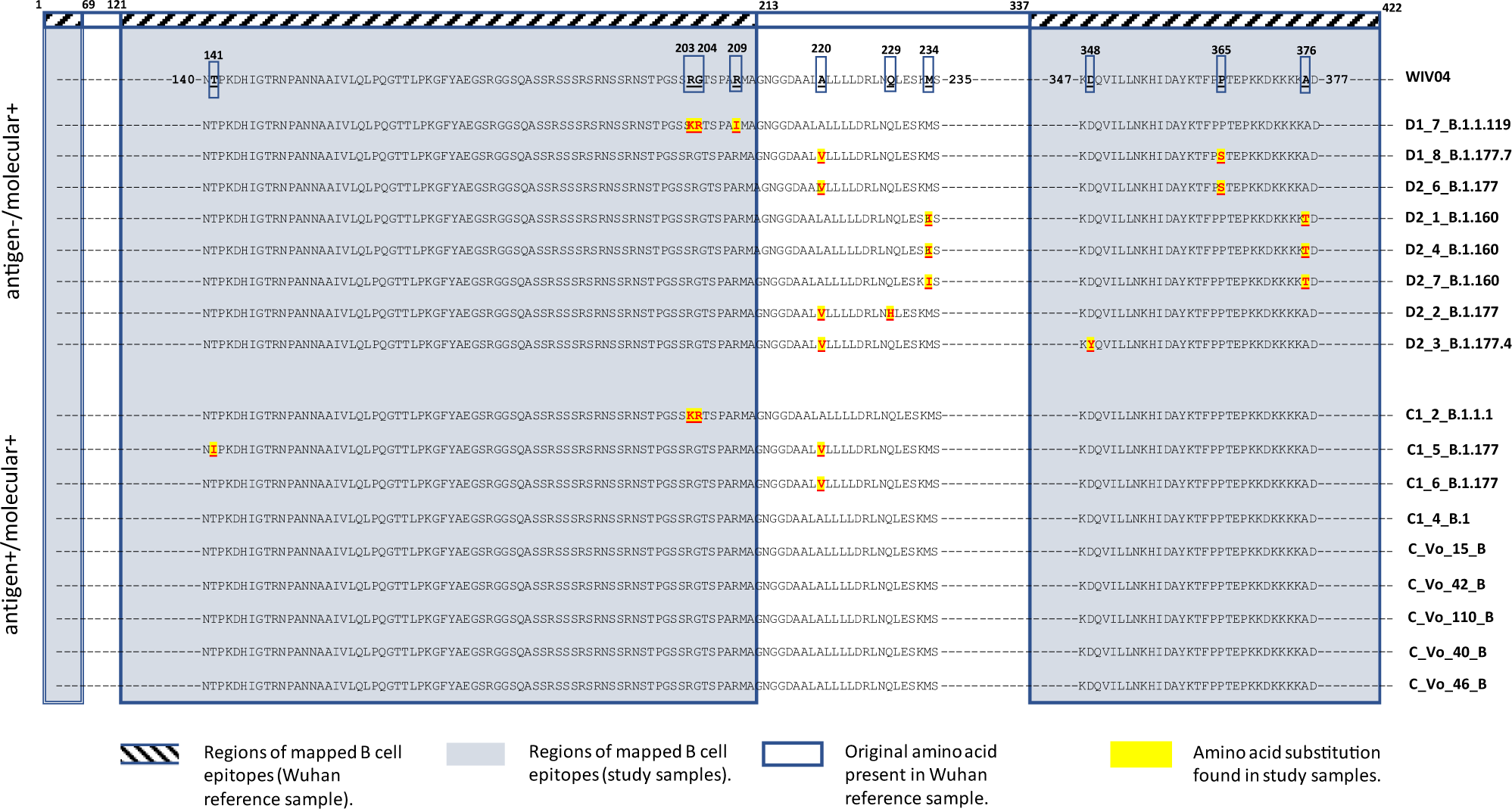 Fig. 2: Detected variants of N protein: the relative positions of amino-acid substitutions (with respect to the Wuhan reference sequence – WIV04) found in the N gene of 17 full-length sequences of SARS-CoV-2 are shown.