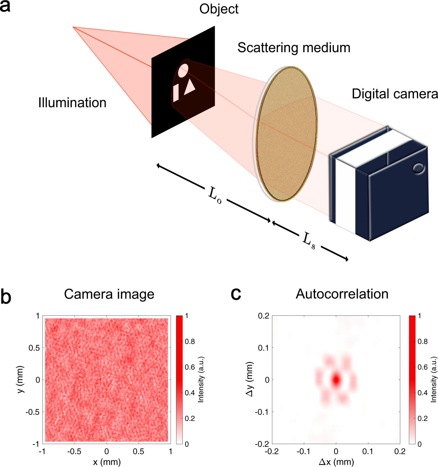 Tracking moving objects through scattering media via speckle correlations
