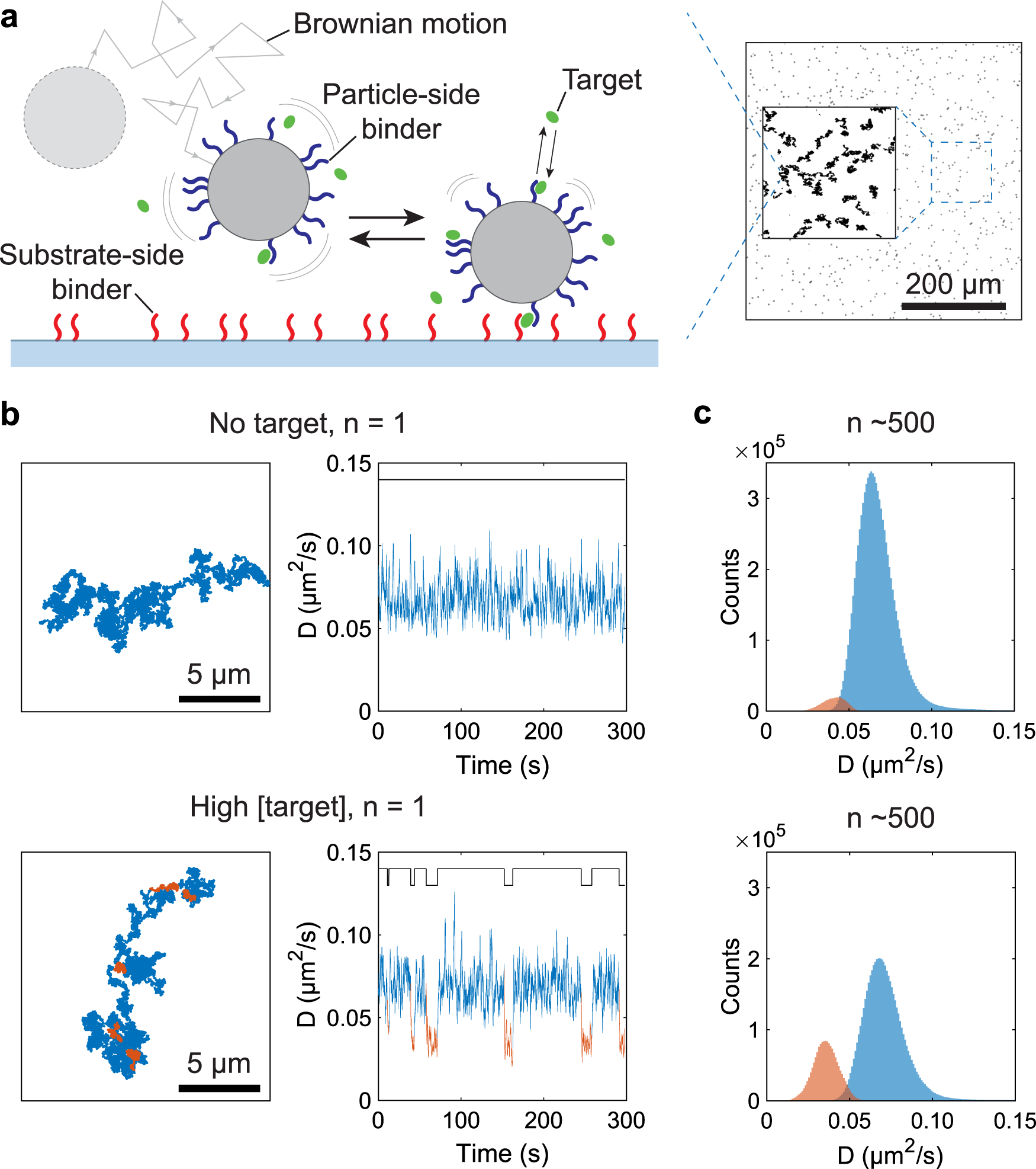 Continuous biomarker monitoring with single molecule resolution by  measuring free particle motion