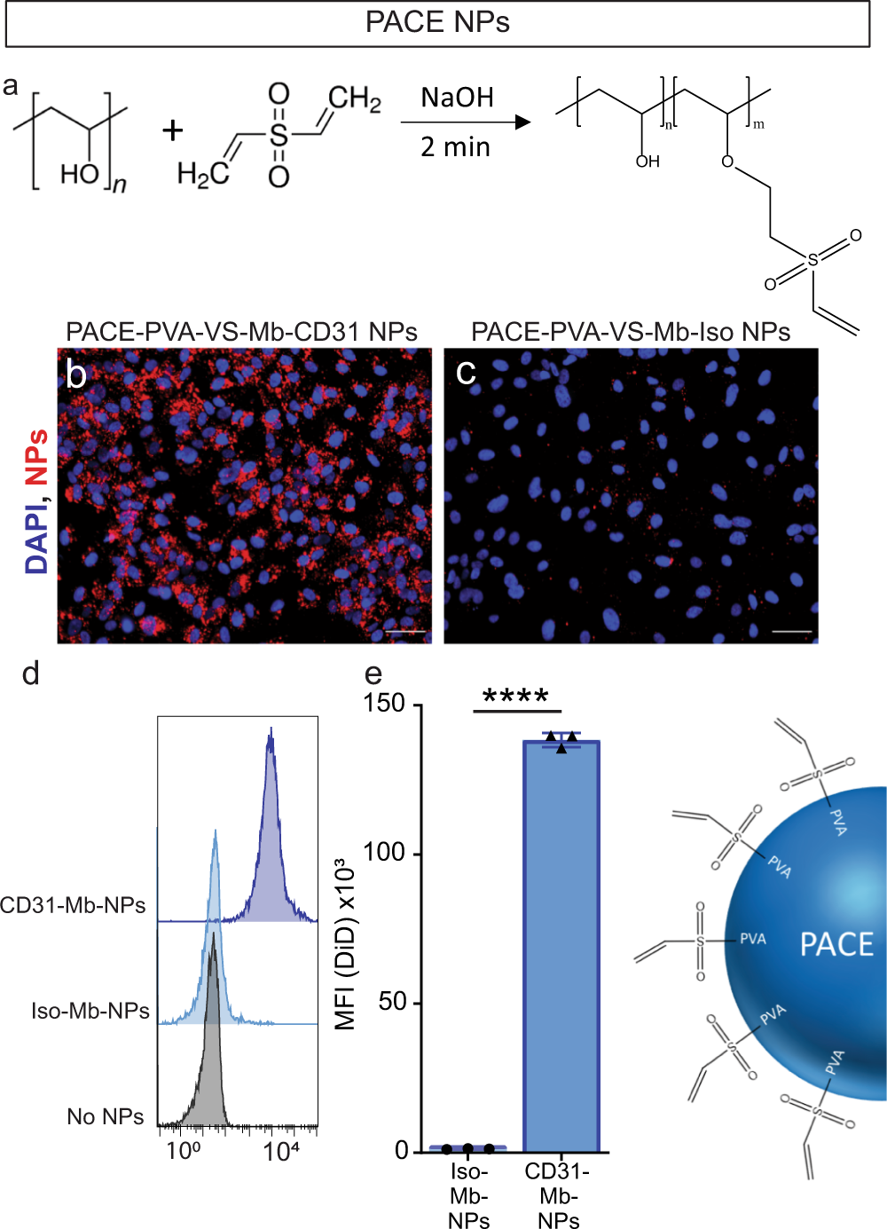 Fig. 4: The monobody adapter is compatible with nanoparticle systems prepared by emulsion-evaporation using poly(vinyl alcohol-vinyl sulfone).