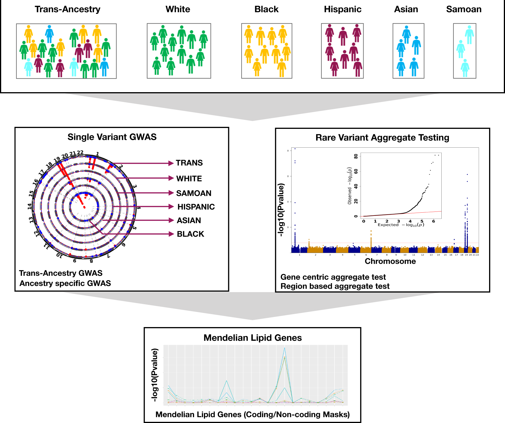 Fig. 1: Overall study schematic.