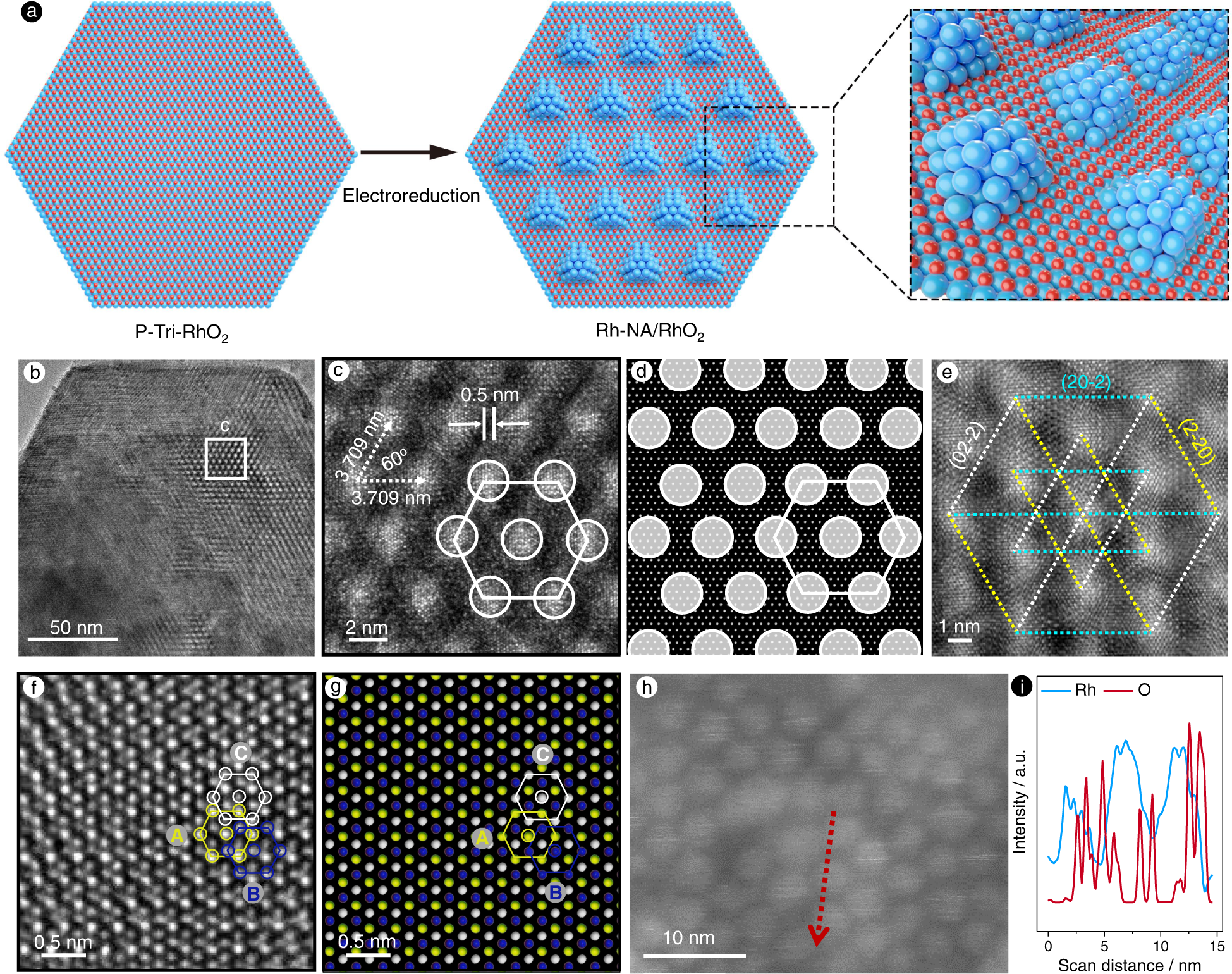 Fig. 2: Structure characterization of Rh-NA/RhO2.