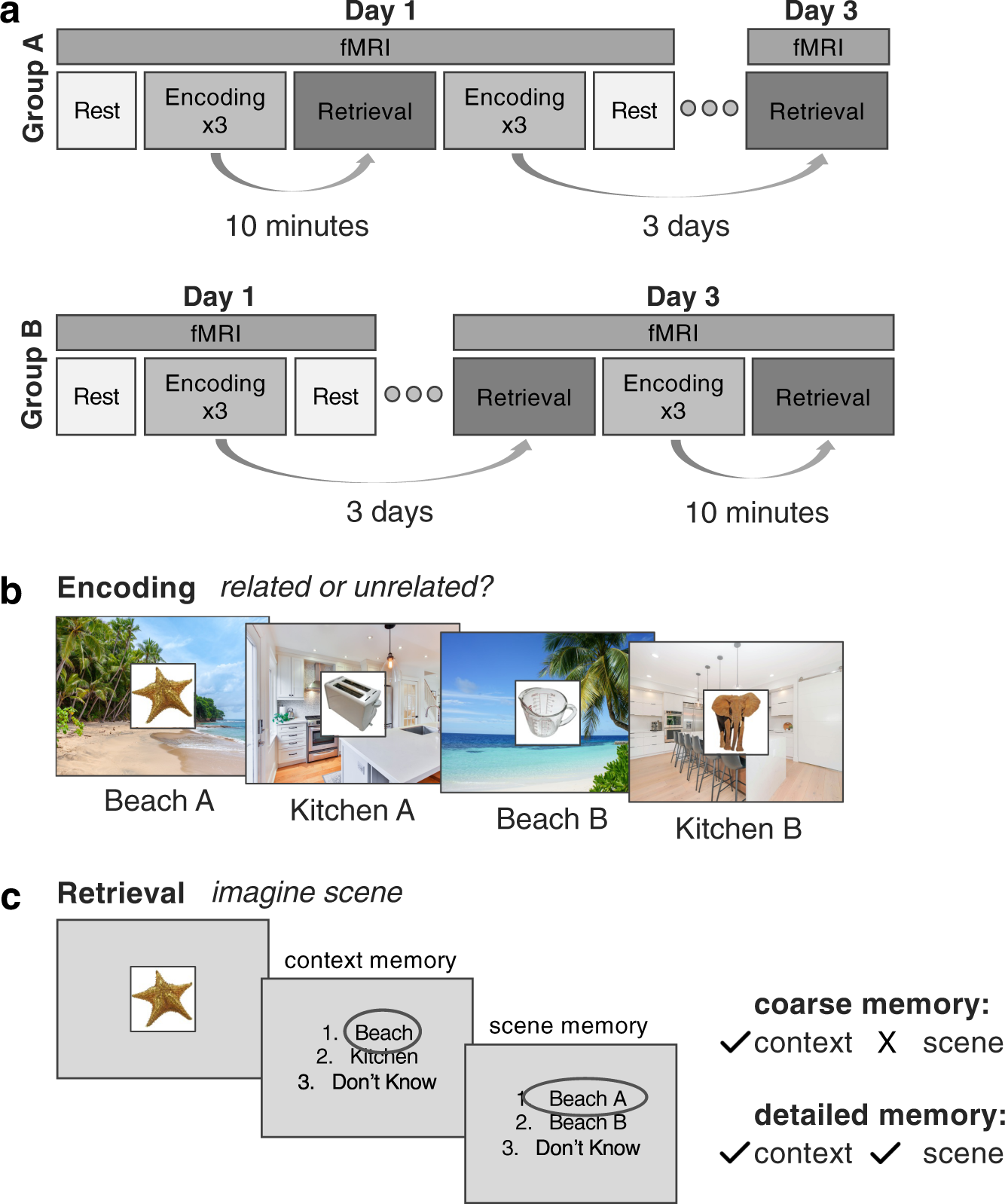 Comment Tracer Les Verticales Sur Un Schéma De Composition Schemas provide a scaffold for neocortical integration of new memories over time | Nature Communications