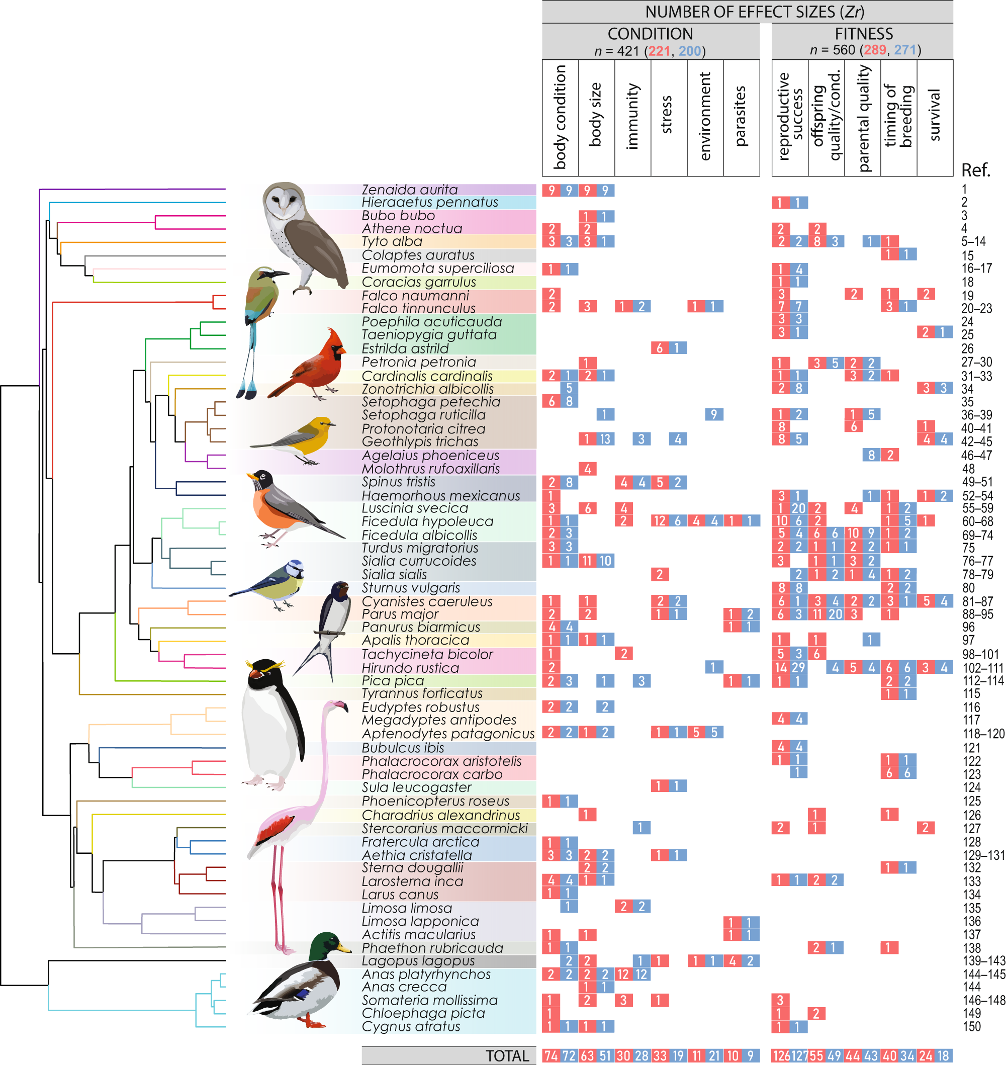 Ornaments are equally informative in male and female birds | Nature  Communications