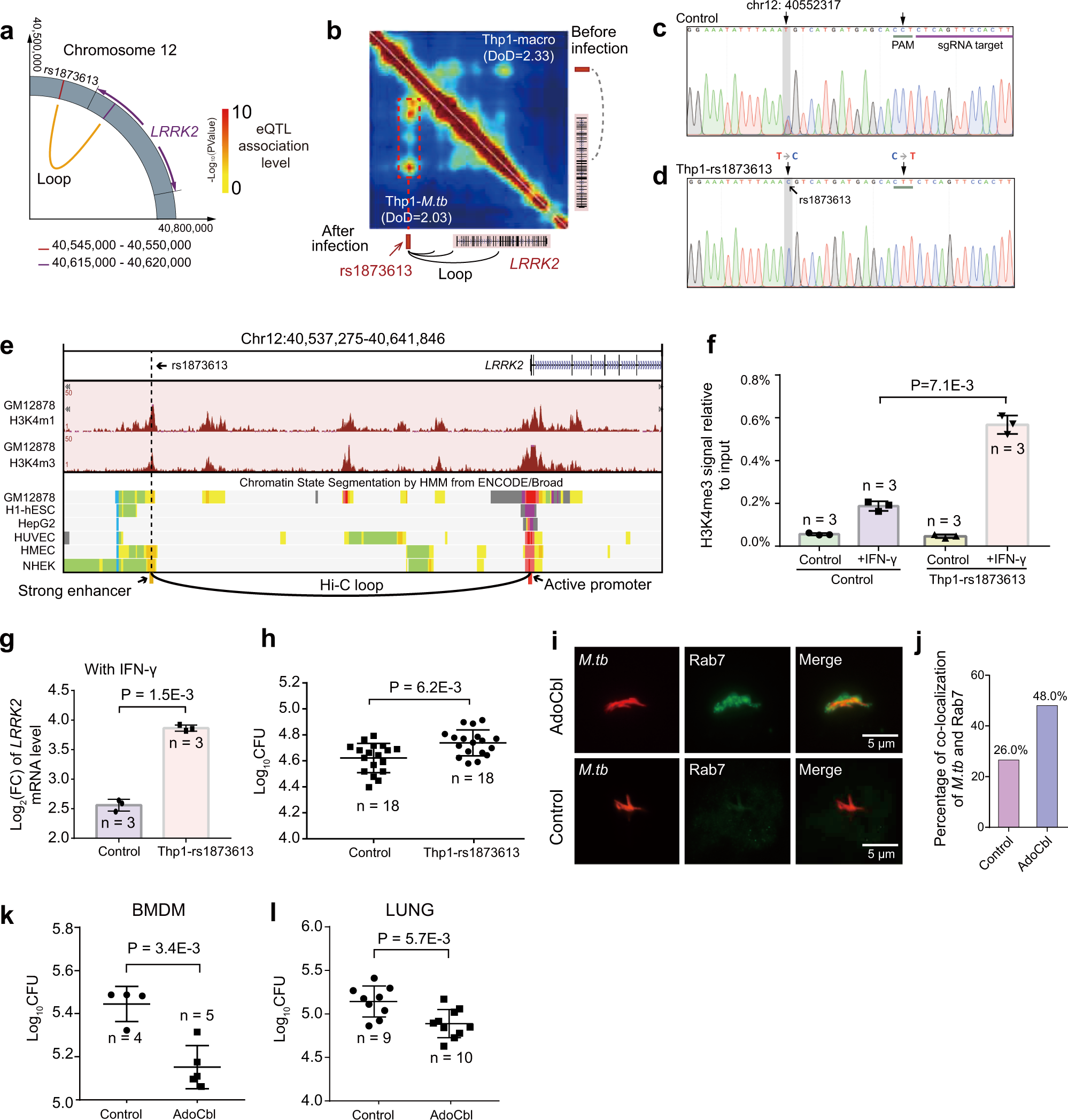 Fig. 7: Identification of long-range regulatory target genes of mycobacterial disease susceptibility loci.
