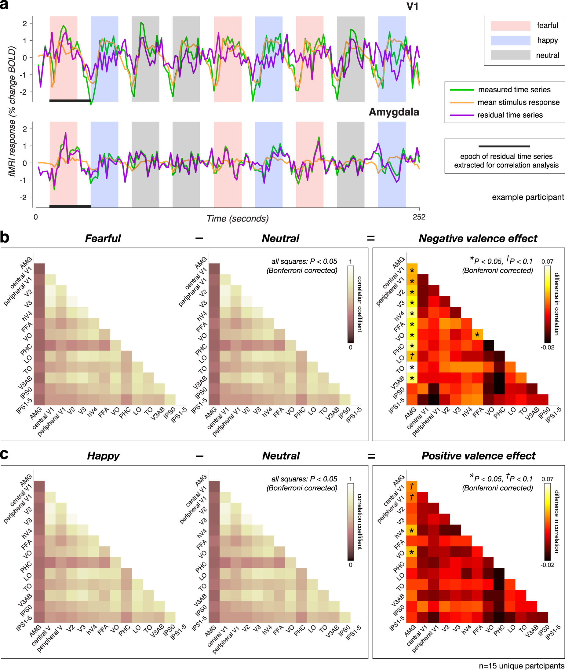 Fig. 2: Inter-area correlation reveals enhanced interactions with amygdala when viewing fearful facial expressions.