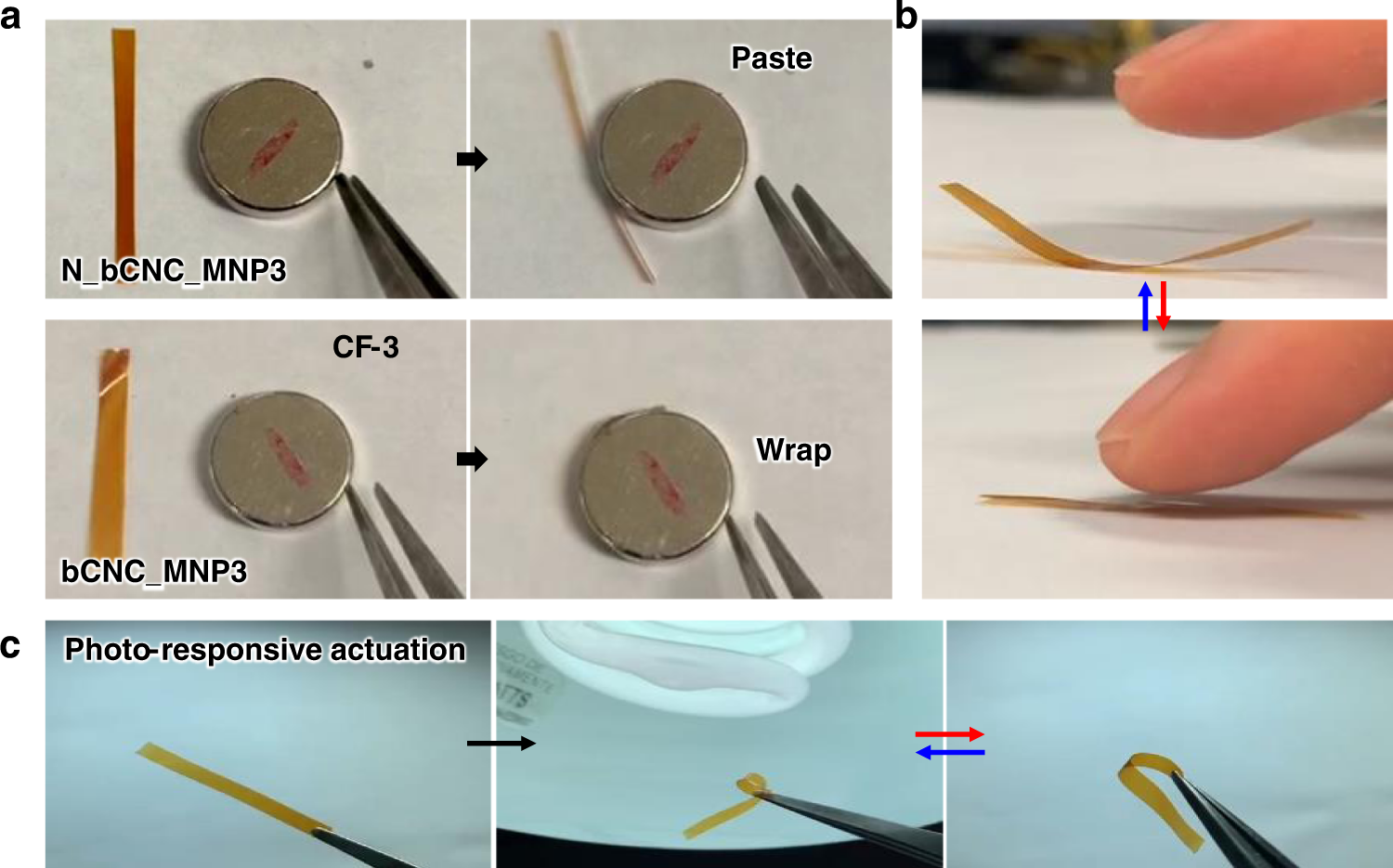 Fig. 7: Multi-stimuli responsive behavior of magnetic films.