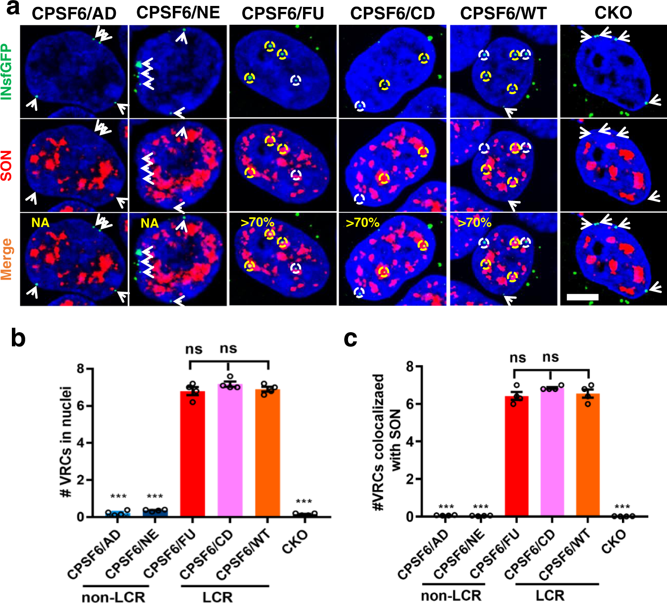 Fig. 3: CPSF6 LCR effects on HIV-1 nuclear import and targeting to NS.