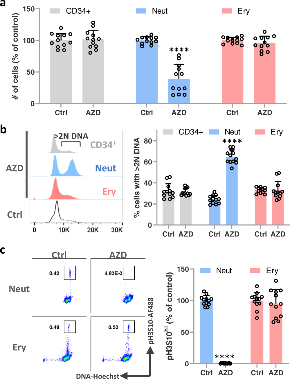 Differential ABC transporter expression during hematopoiesis  