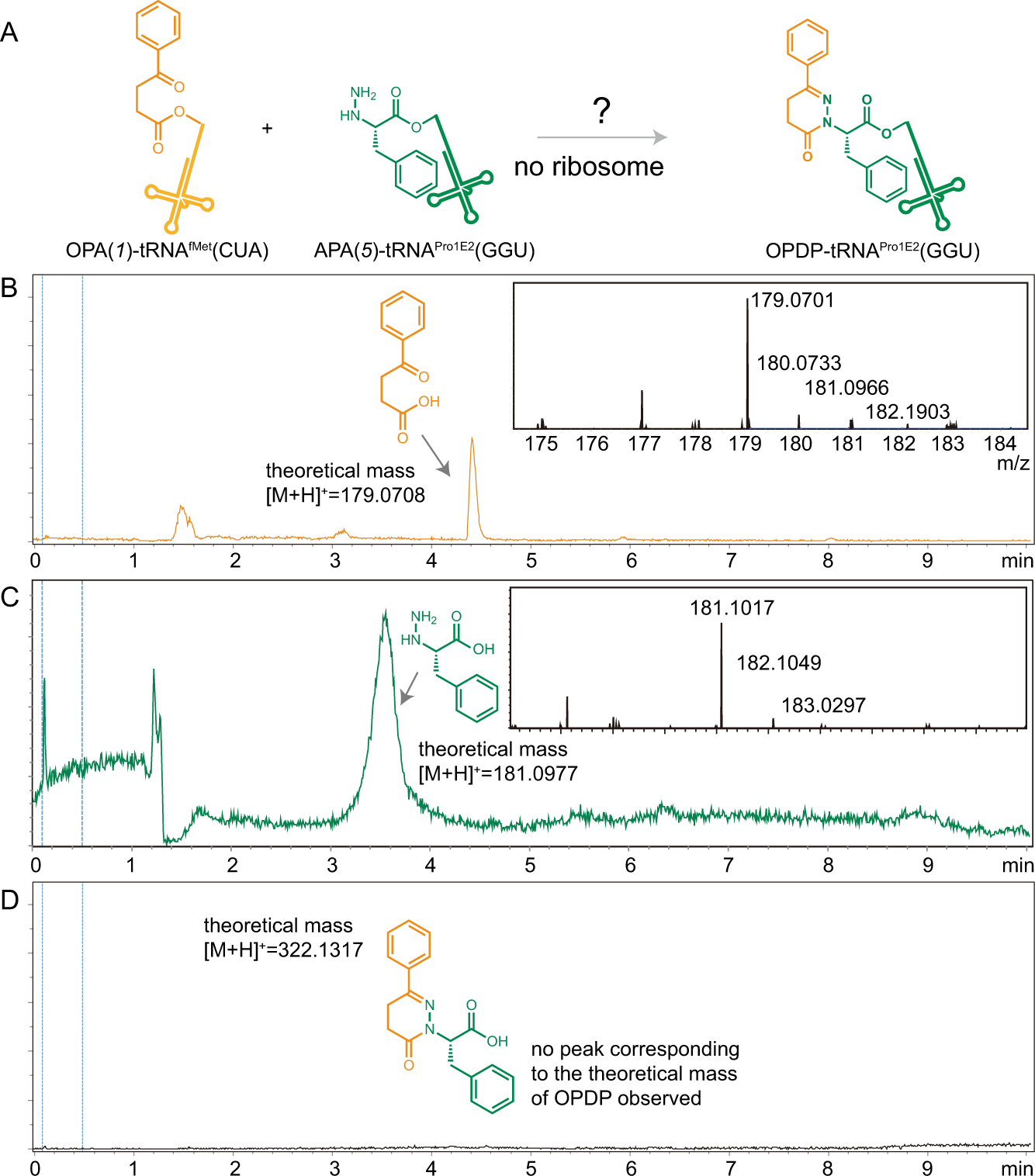 Fig. 3: The ribosome is required for pyridazinone formation under in vitro translation conditions.